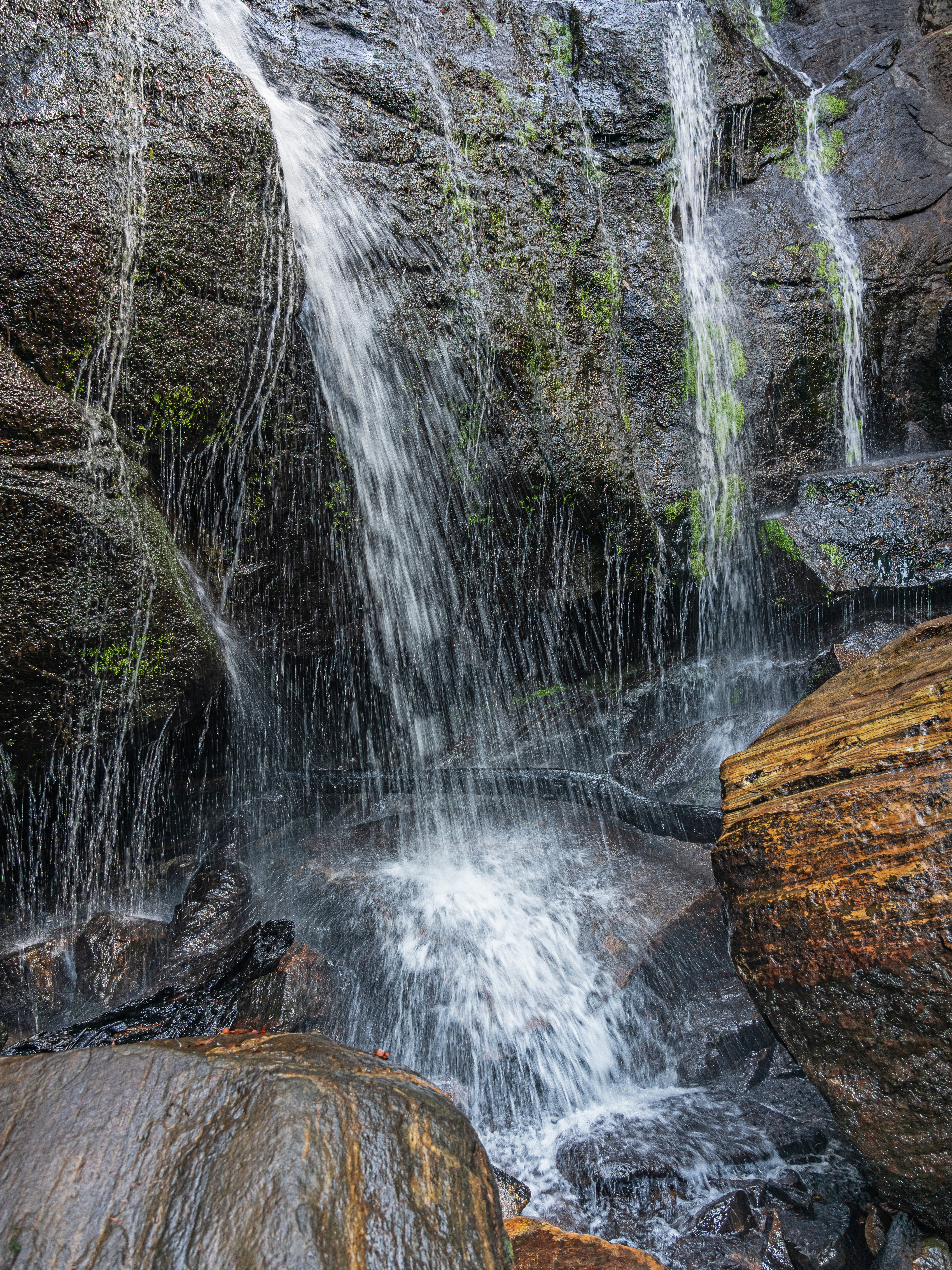A waterfall in Sinharaja Rainforest near Deniyaya, Sri Lanka
