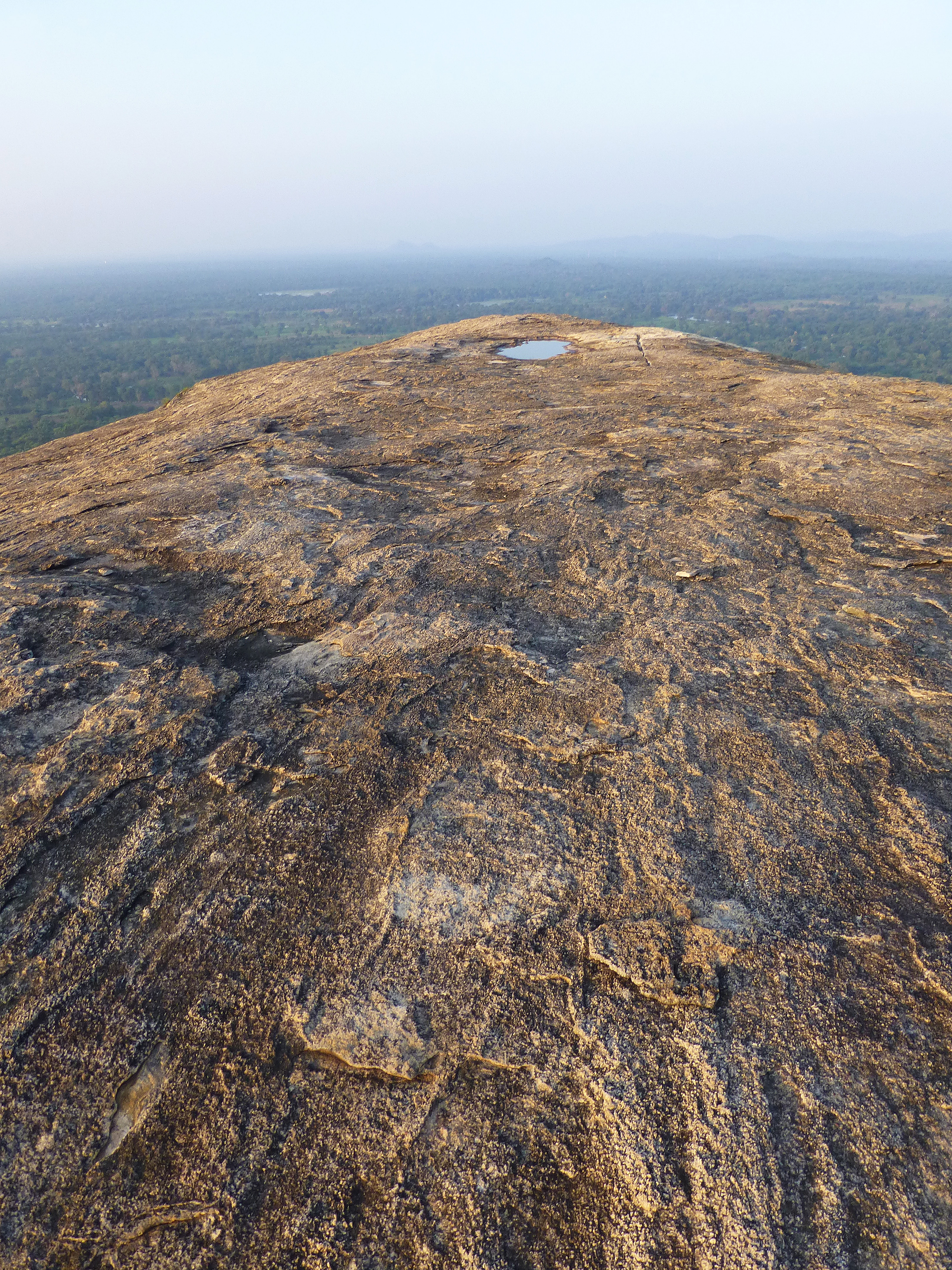 Panorama depuis le rocher de Pidurangala (Sri Lanka)