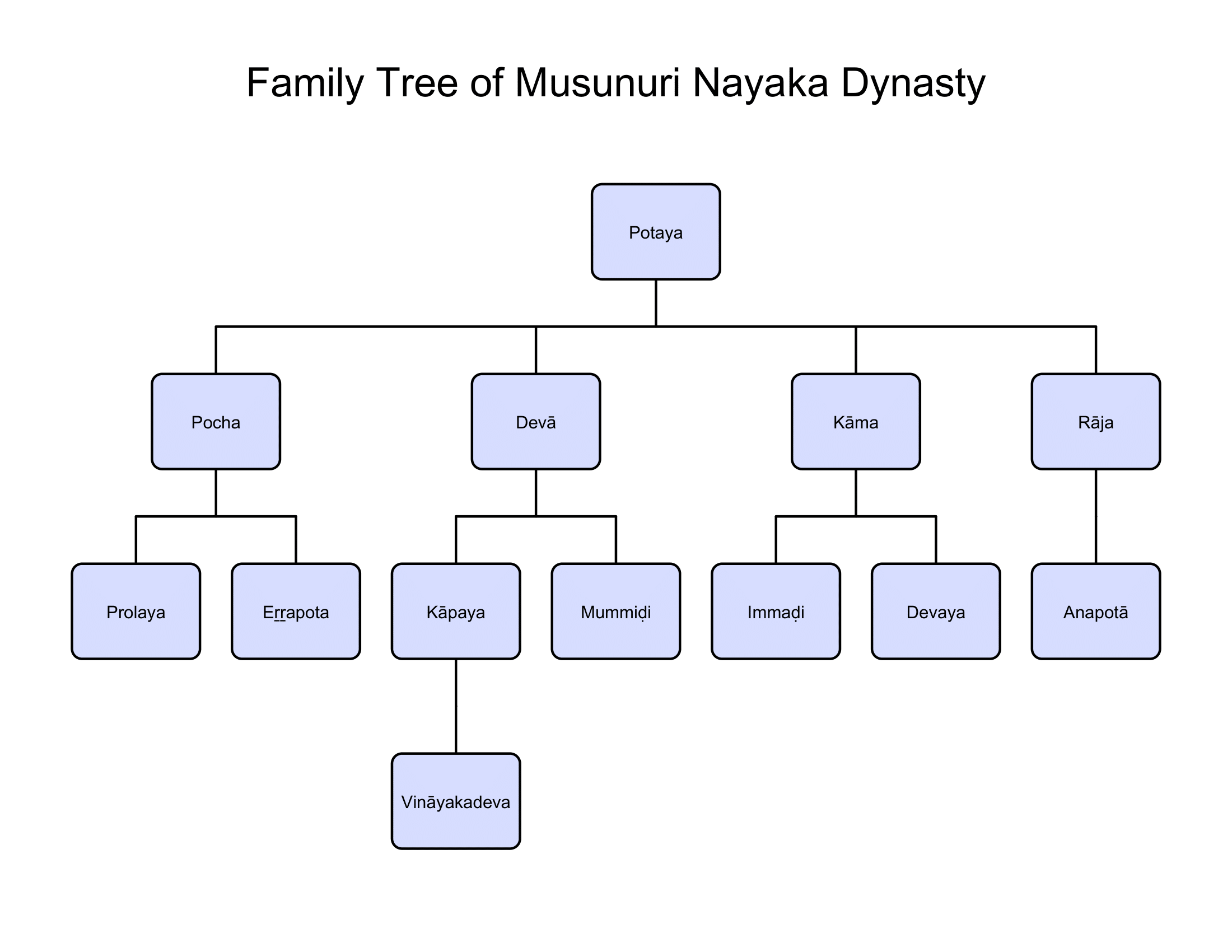 The family tree of Musunuri Nayakas