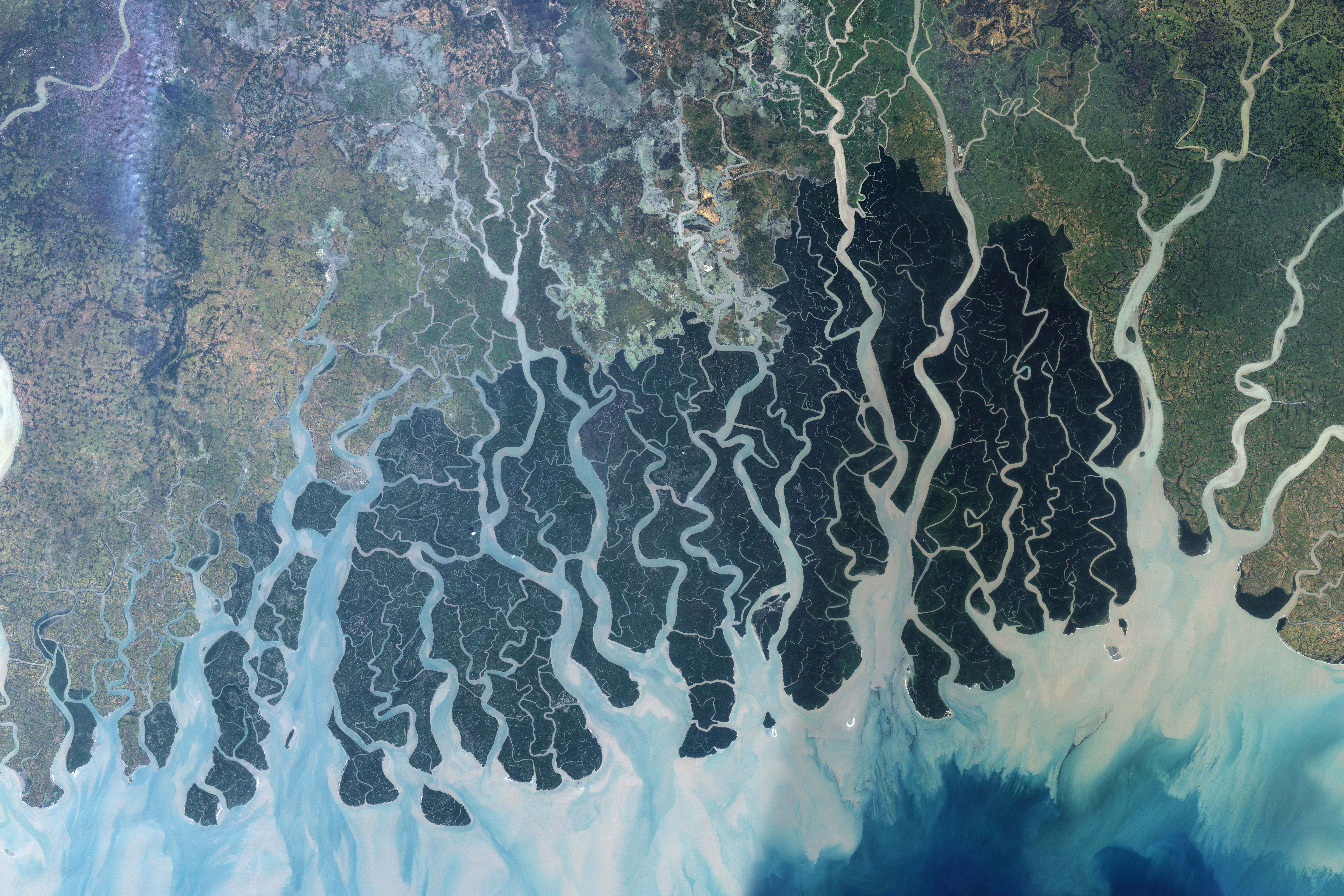 This NASA satellite image was created by merging Landsat 7 satellite observations from November 24, 1999, and November 17 and 26, 2000. It shows the forest in the protected area. The Sundarbans appears deep green, surrounded to the north by a landscape of agricultural lands, which appear lighter green, towns, which appear tan, and streams, which are blue. Ponds for shrimp aquaculture, especially in Bangladesh, sit right at the edge of the protected area, a potential problem for the water quality and biodiversity of the area. The forest may also be under stress from environmental disturbance occurring thousands of kilometers away, such as deforestation in the Himalaya Mountains far to the north. NASA image created by Jesse Allen, Earth Observatory, using data obtained from the University of Maryland’s Global Land Cover Facility.