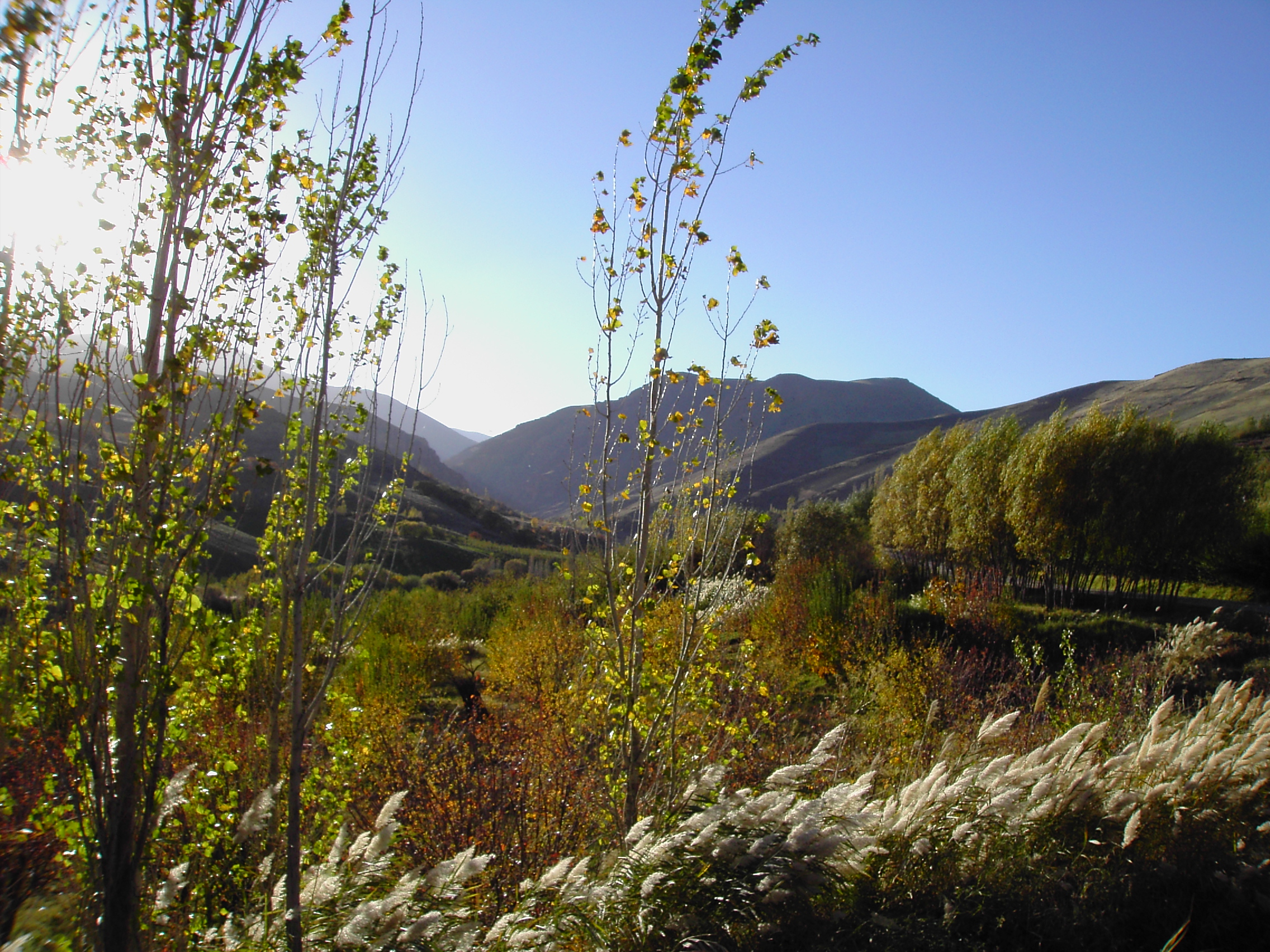 A view of Zagros mountains