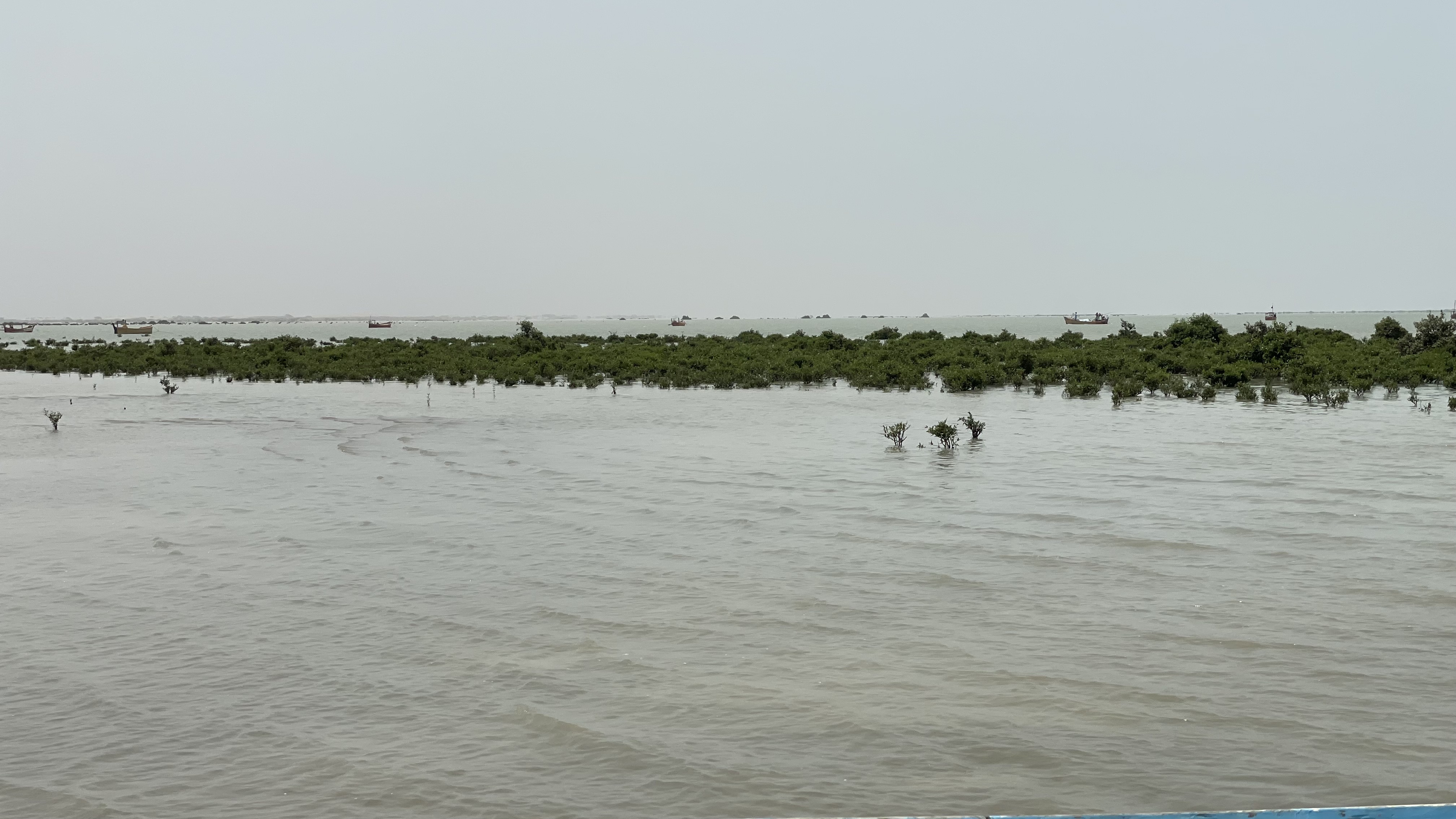 Mangroves and fishing boats at Sonmiani Bay near Damb