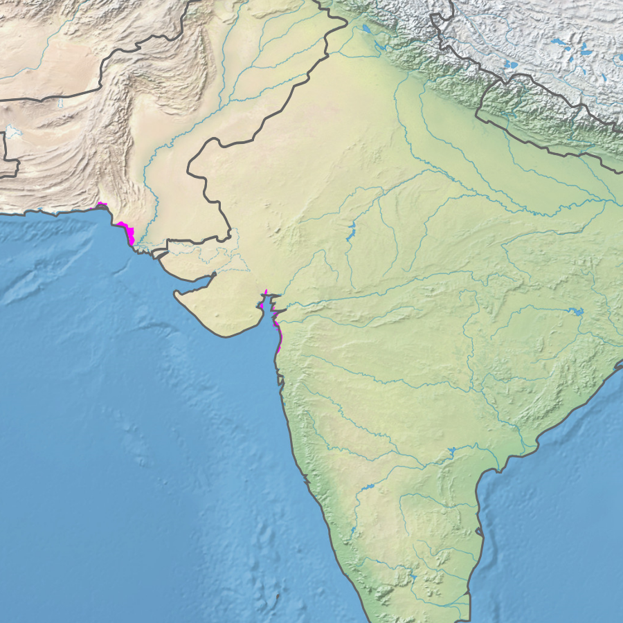 Ecoregion IM1403 - Indus River Delta-Arabian Sea mangroves (in purple)