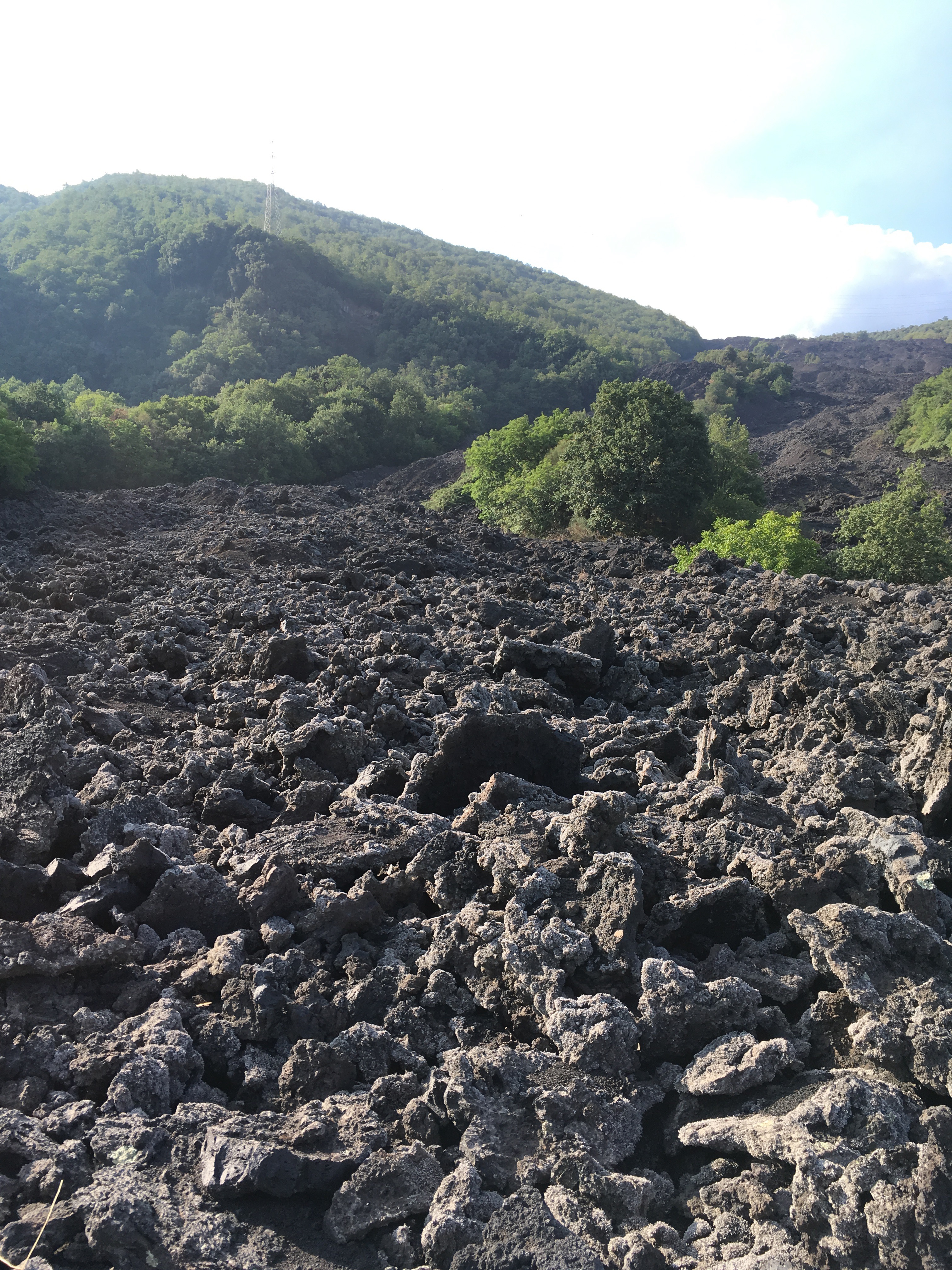 The terminal area of the lava flow from the 1992 eruption of Mount Etna, near Zafferana