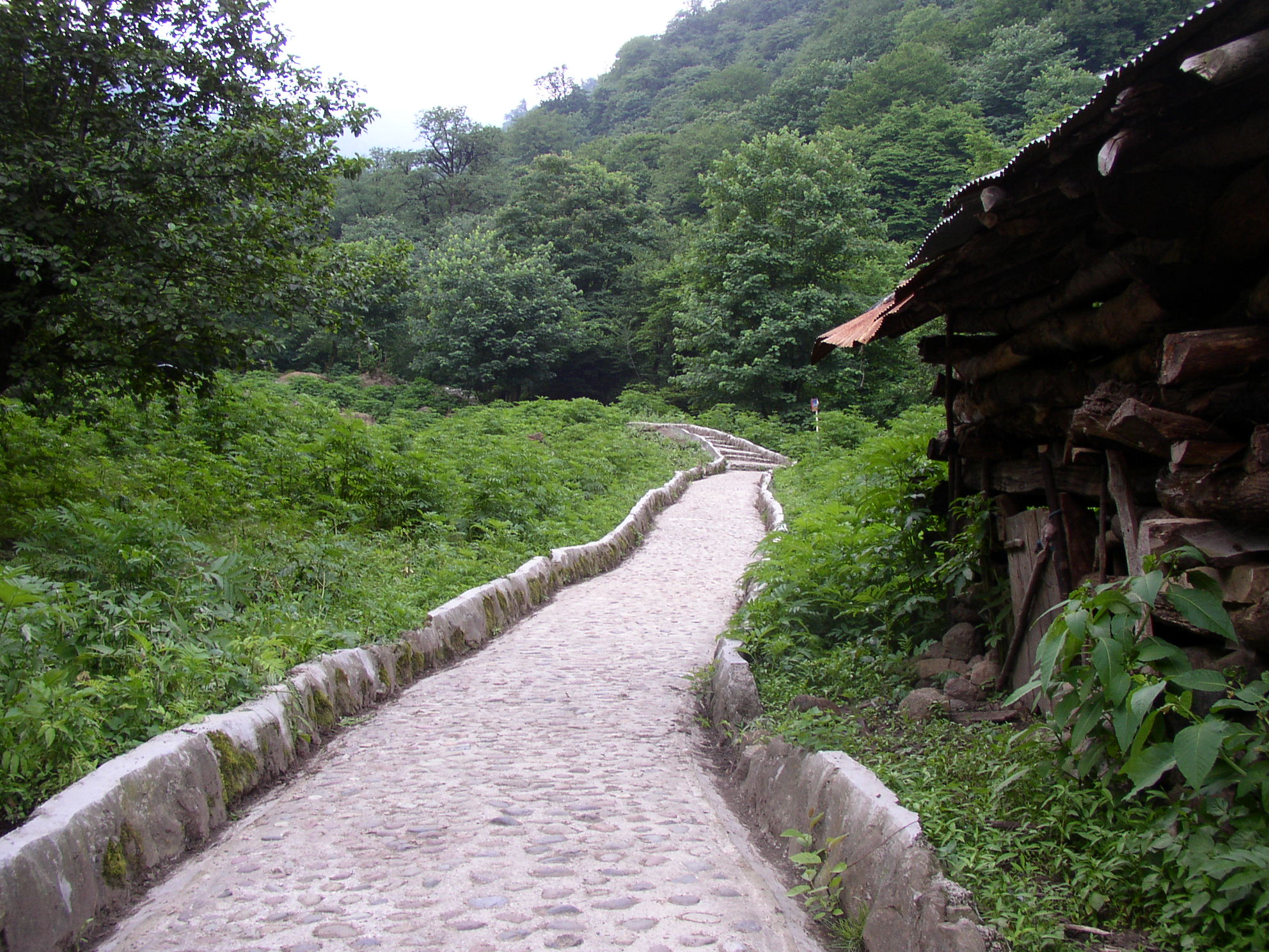 The road to the Rudkhan Castle, Gilan, Iran.