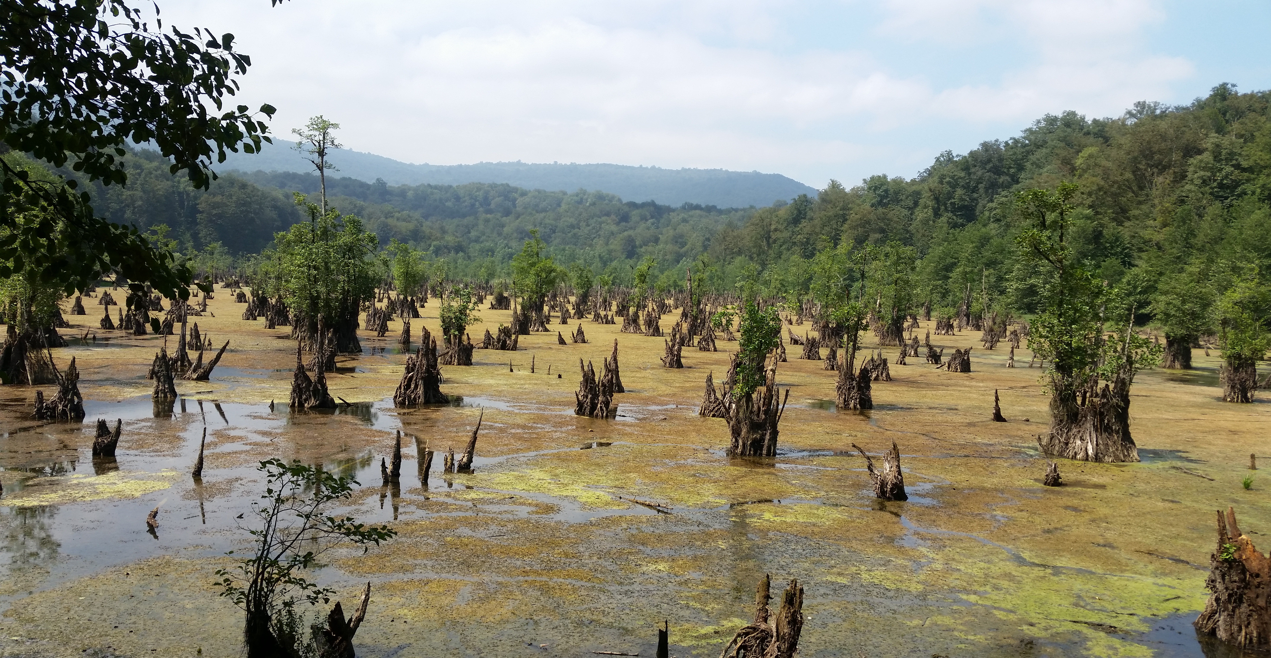 The Lake of Ghosts is a small lake situated in the Iranian province of Mazandaran.