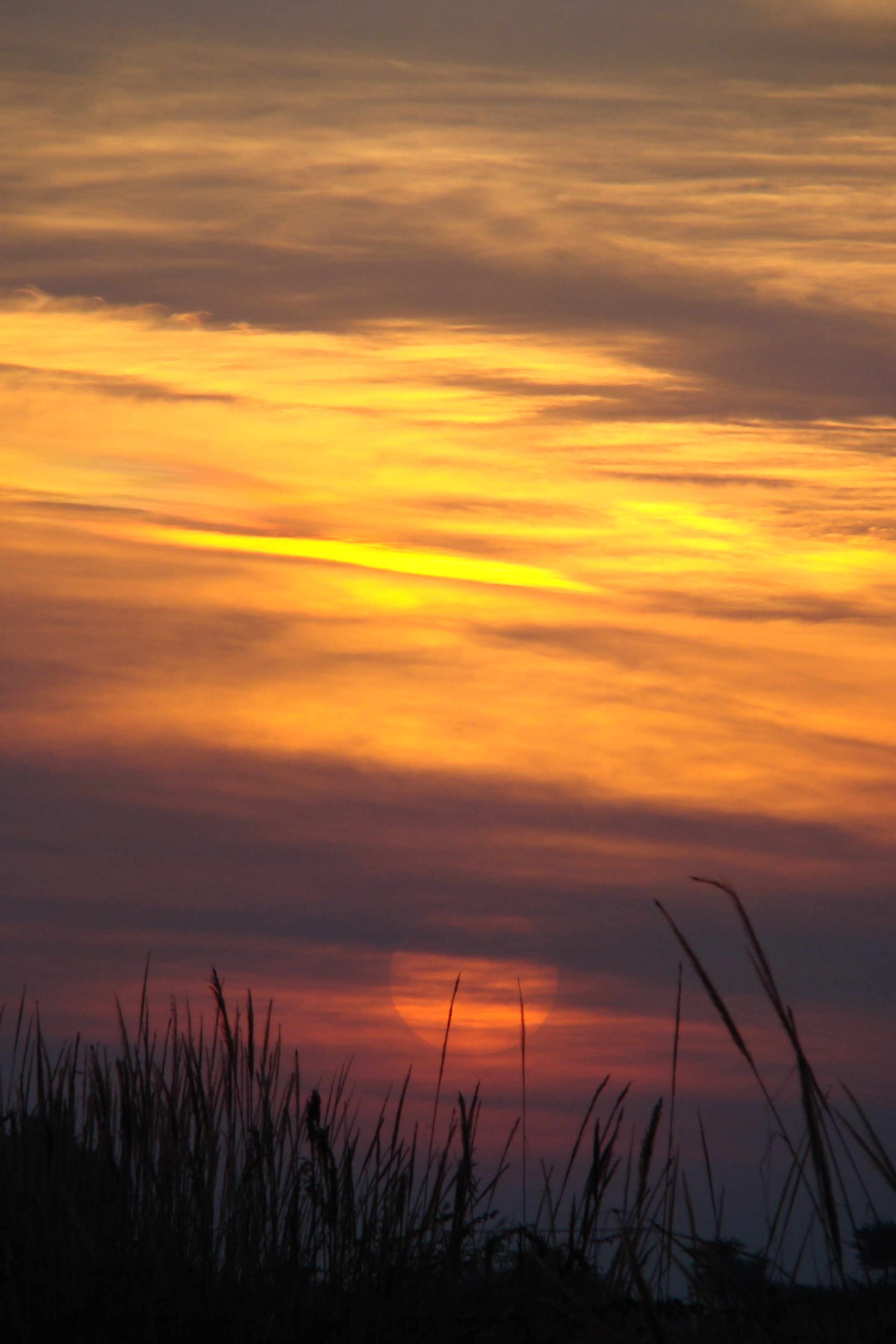 This is the photo taken of a beautiful sunset at Indira Gandhi Canal. You can see the different colours with their changing patterns in this photo.