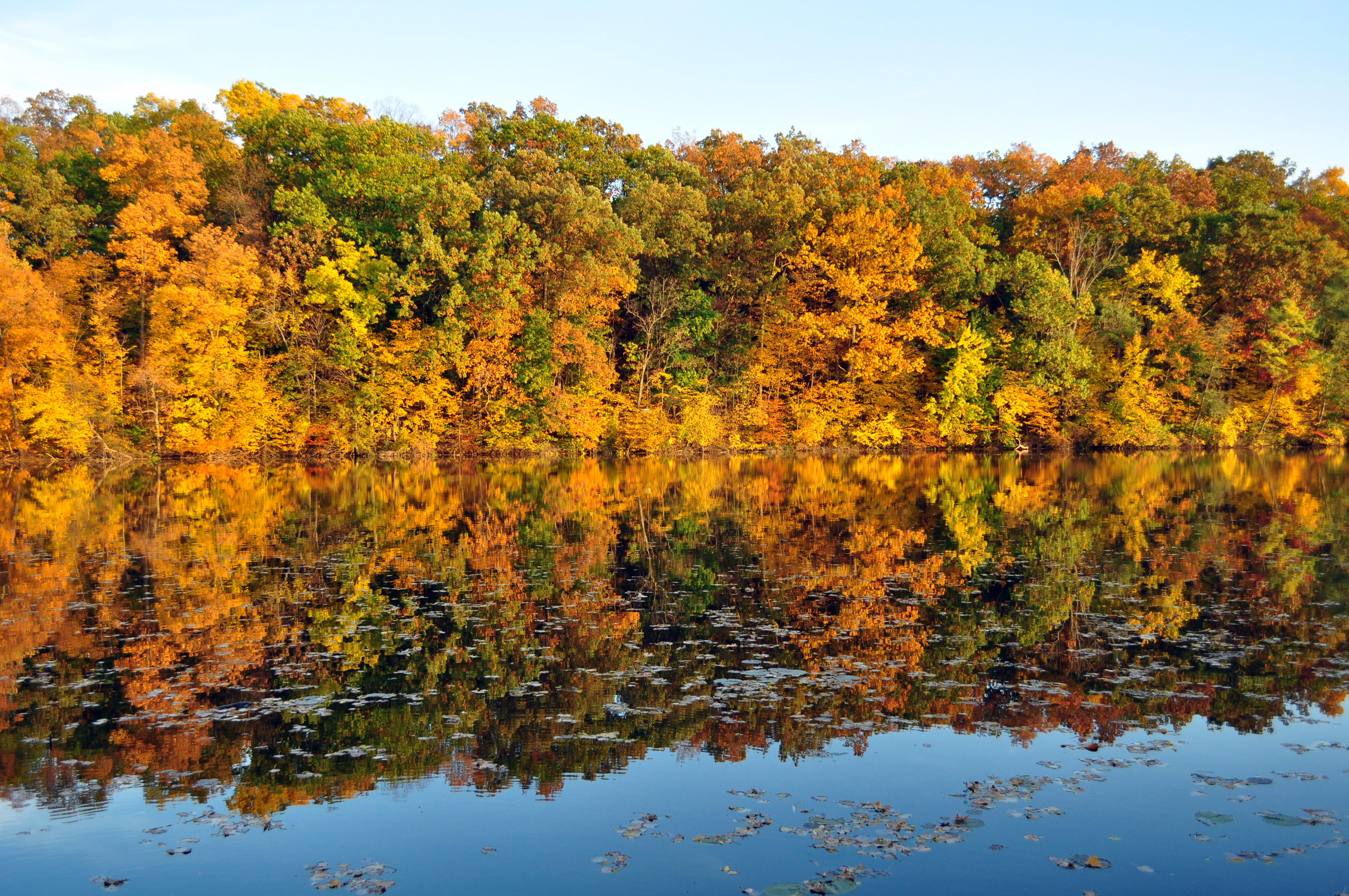 The Huron River within the Ann Arbor area. 2010