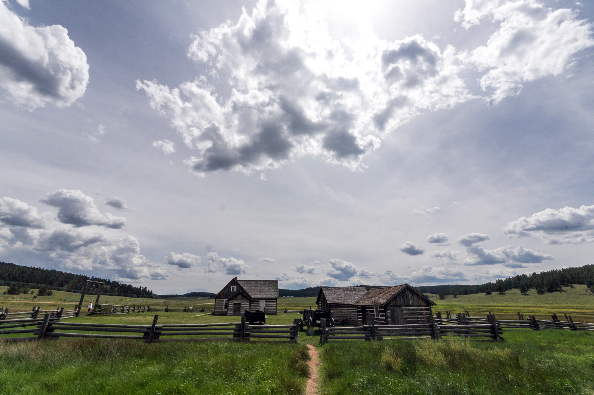 Beneath a grassy mountain valley in central Colorado lies one of the richest and most diverse fossil deposits in the world. Petrified redwood stumps up to 14 feet wide and thousands of detailed fossils of insects and plants reveal the story of a very different, prehistoric Colorado.