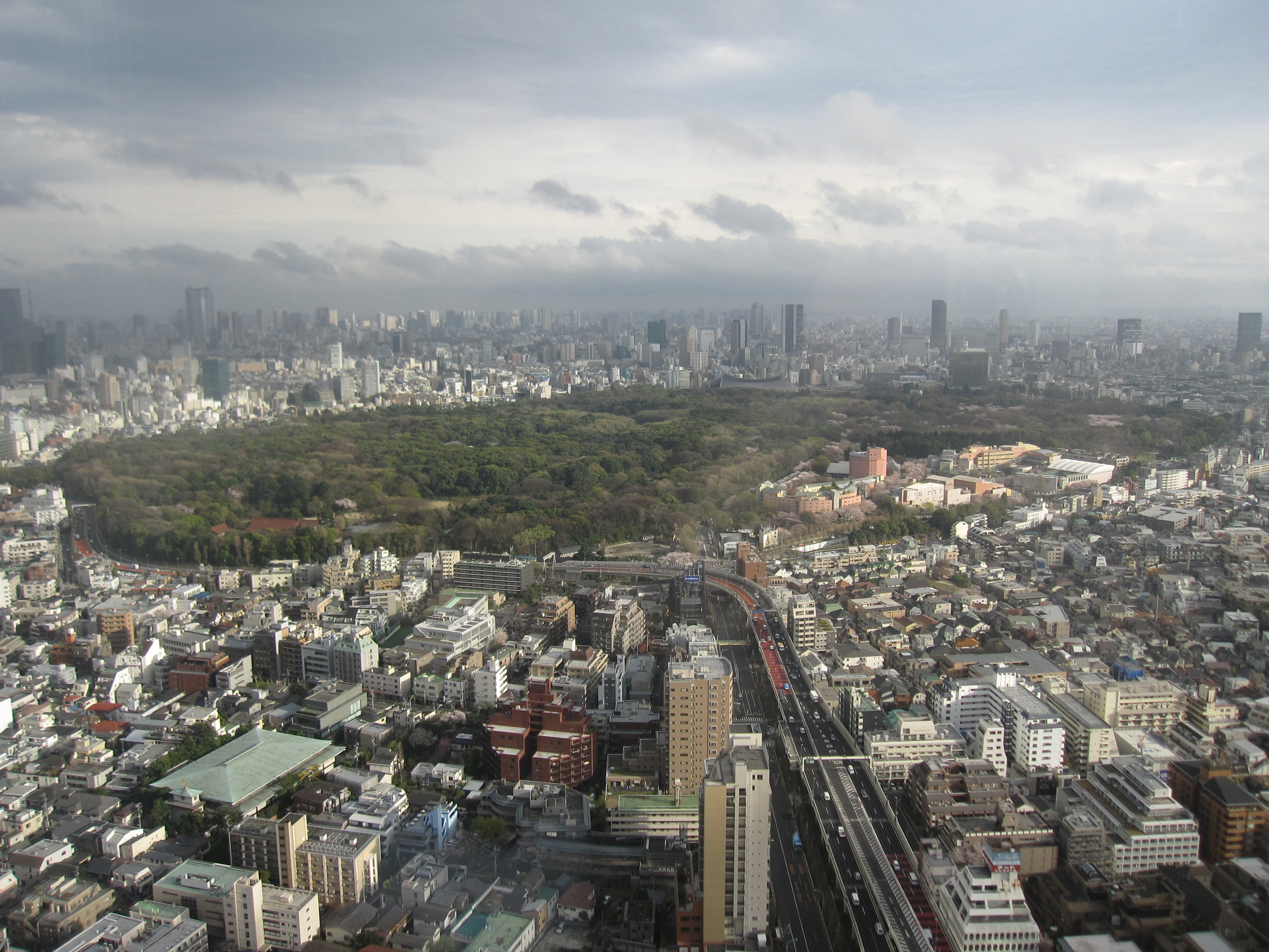 View from Park Hyatt Tokyo of Yoyogi Park &amp; Meji Shrine
