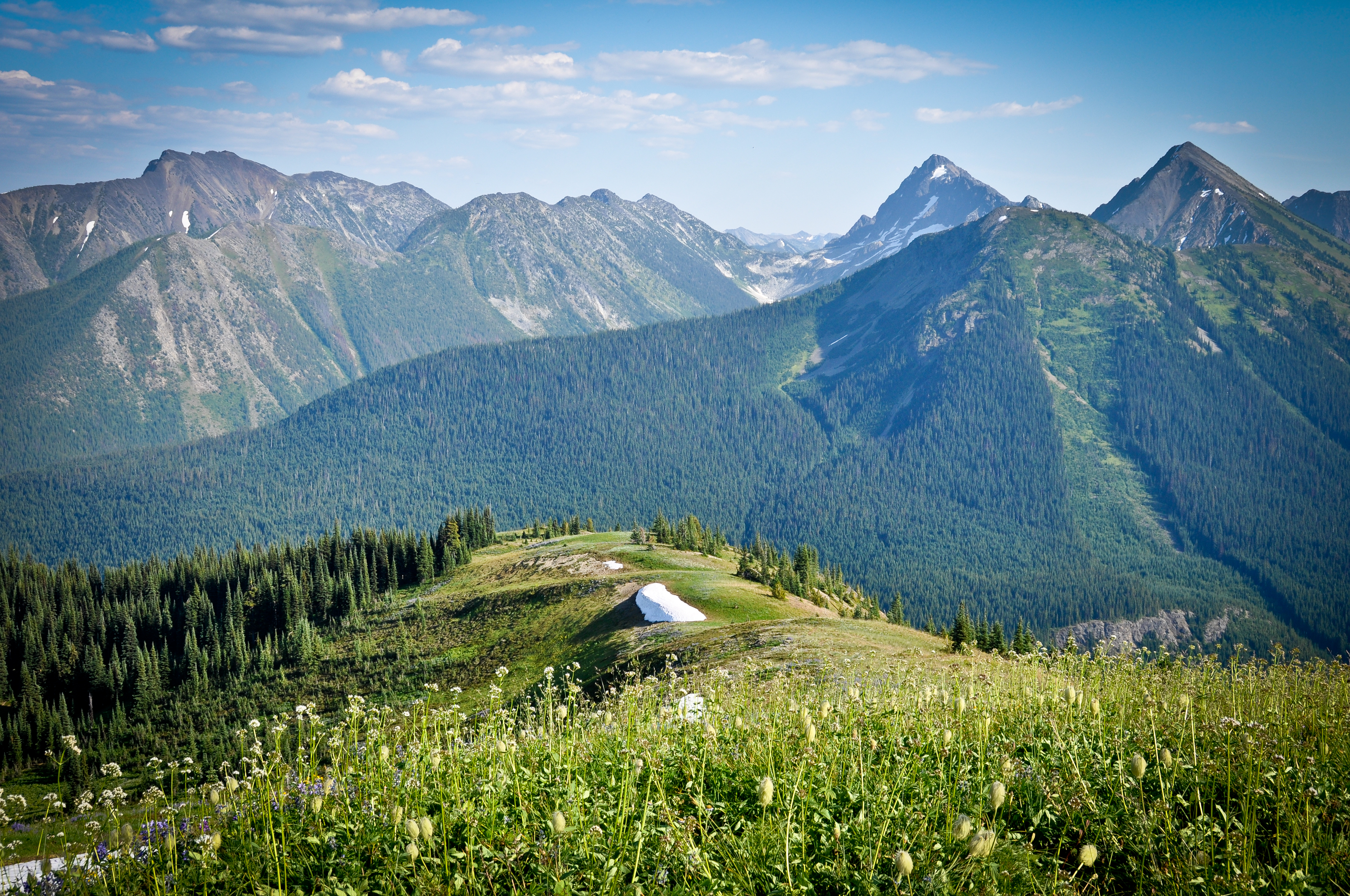 Hozameen Range from Snow Camp Mountain in E.C. Manning Provincial Park. Photo credit: Stephen Hui