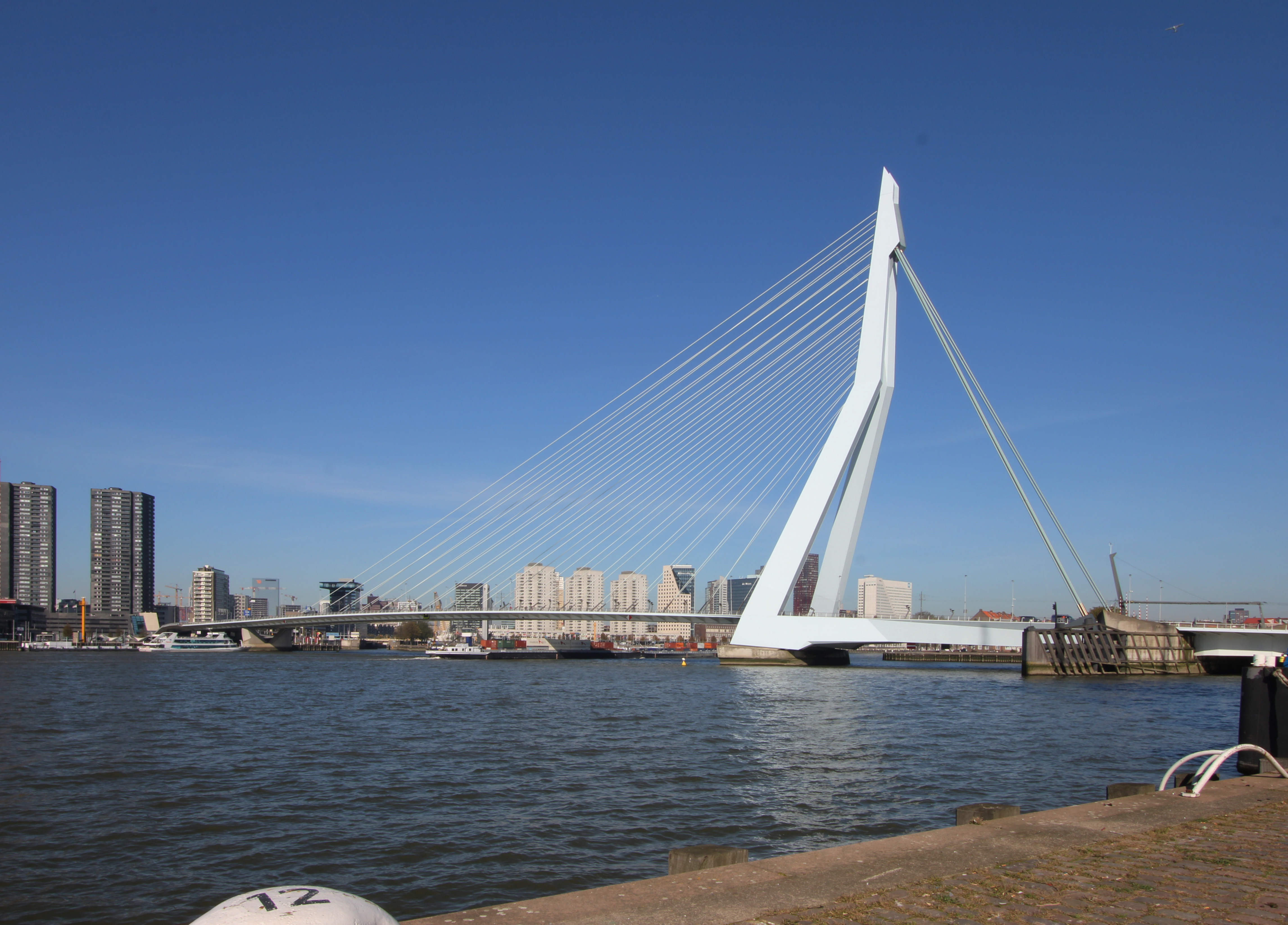 The Erasmusbrug ("Erasmus Bridge") is a cable stayed bridge across the Nieuwe Maas river, linking the northern and southern halves of the city of Rotterdam, The Netherlands.
