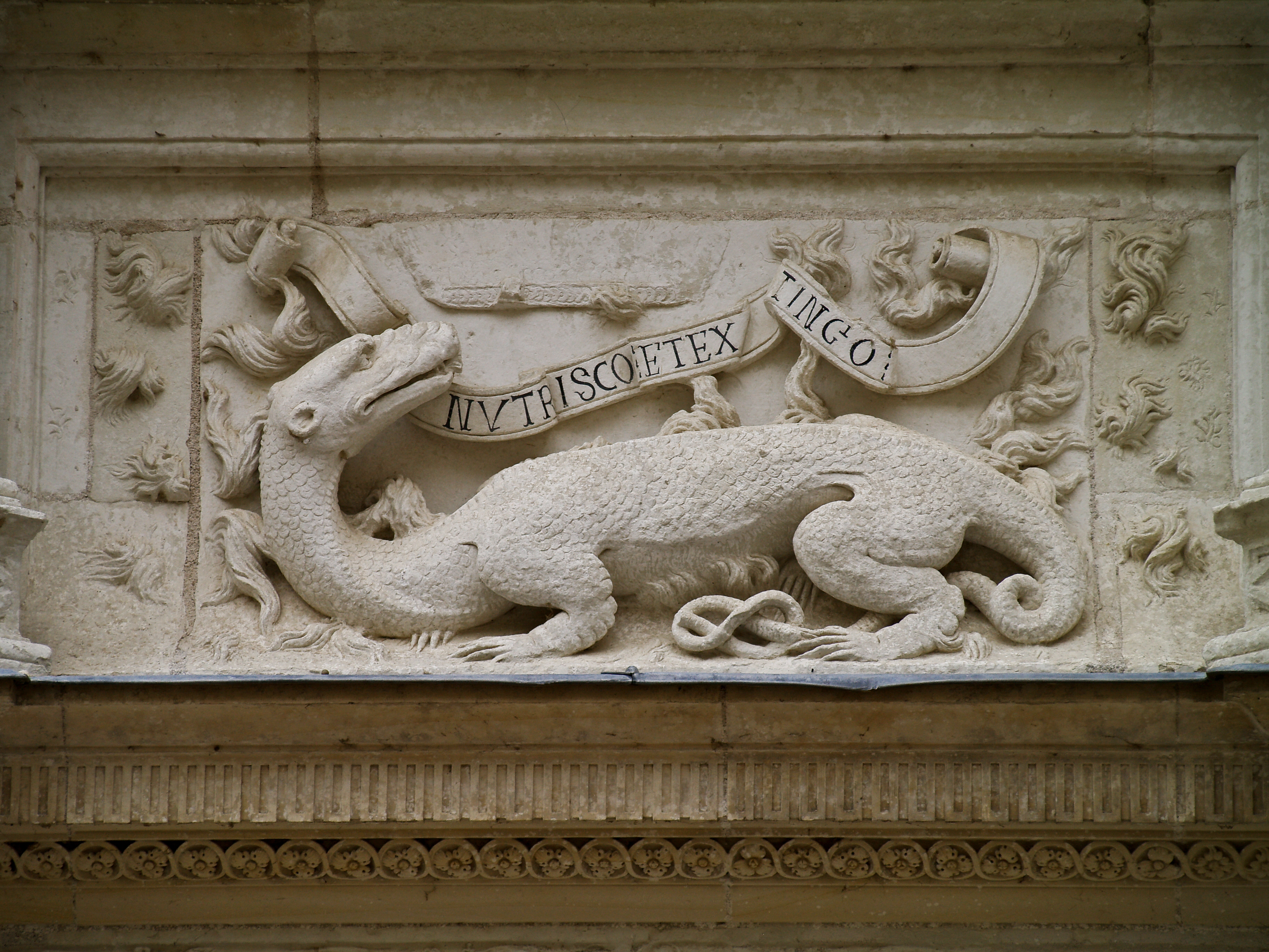 The salamander, badge of Francis I of France, with his motto: "Nutrisco et extinguo" ("I nourish and extinguish") - Azay-le-Rideau Castle - Loire Valley (Indre-et-Loire), France