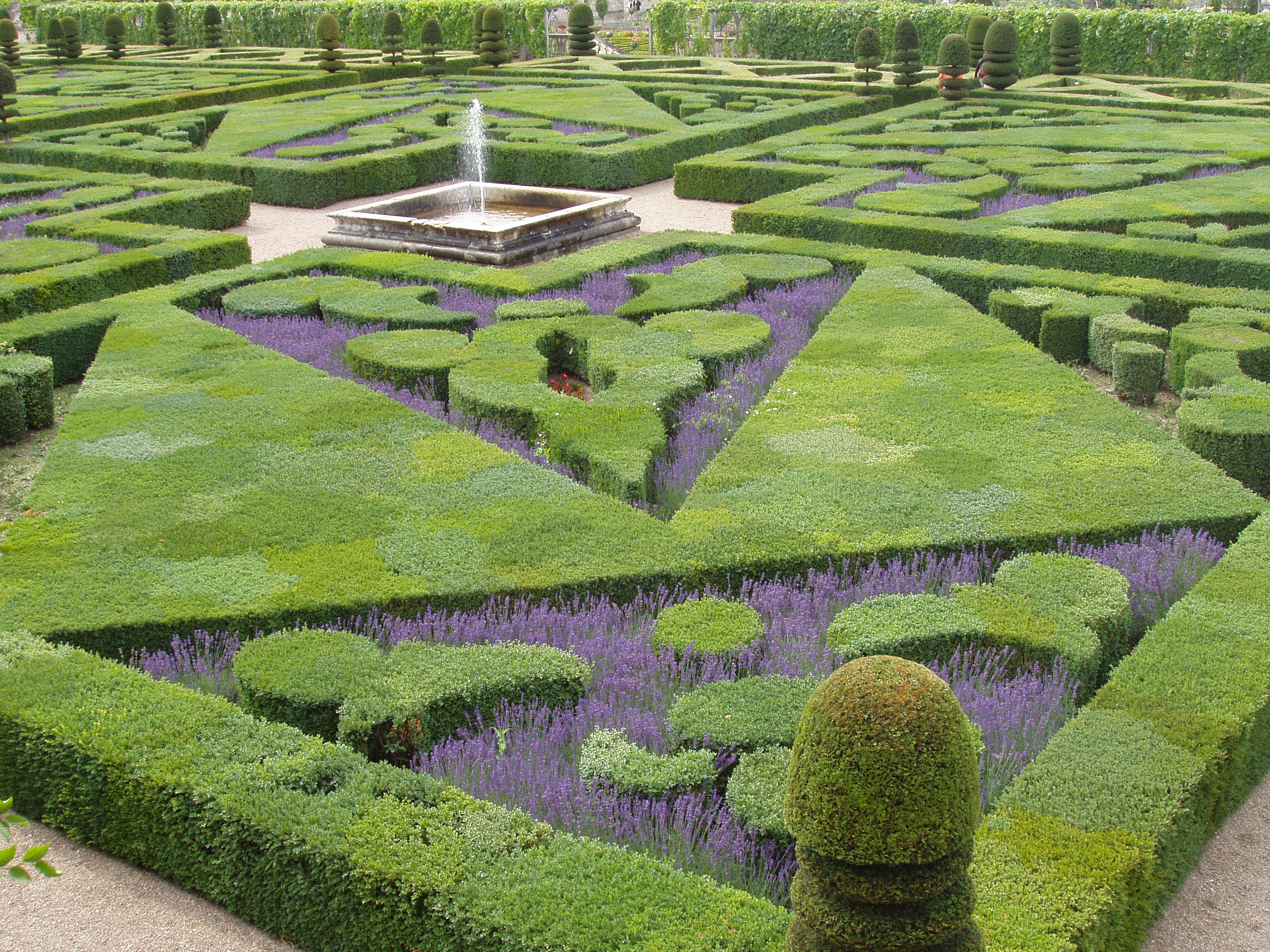 Garden in the Château de Villandry, Loire Valley, France. Photograph taken by me, summer 2004.