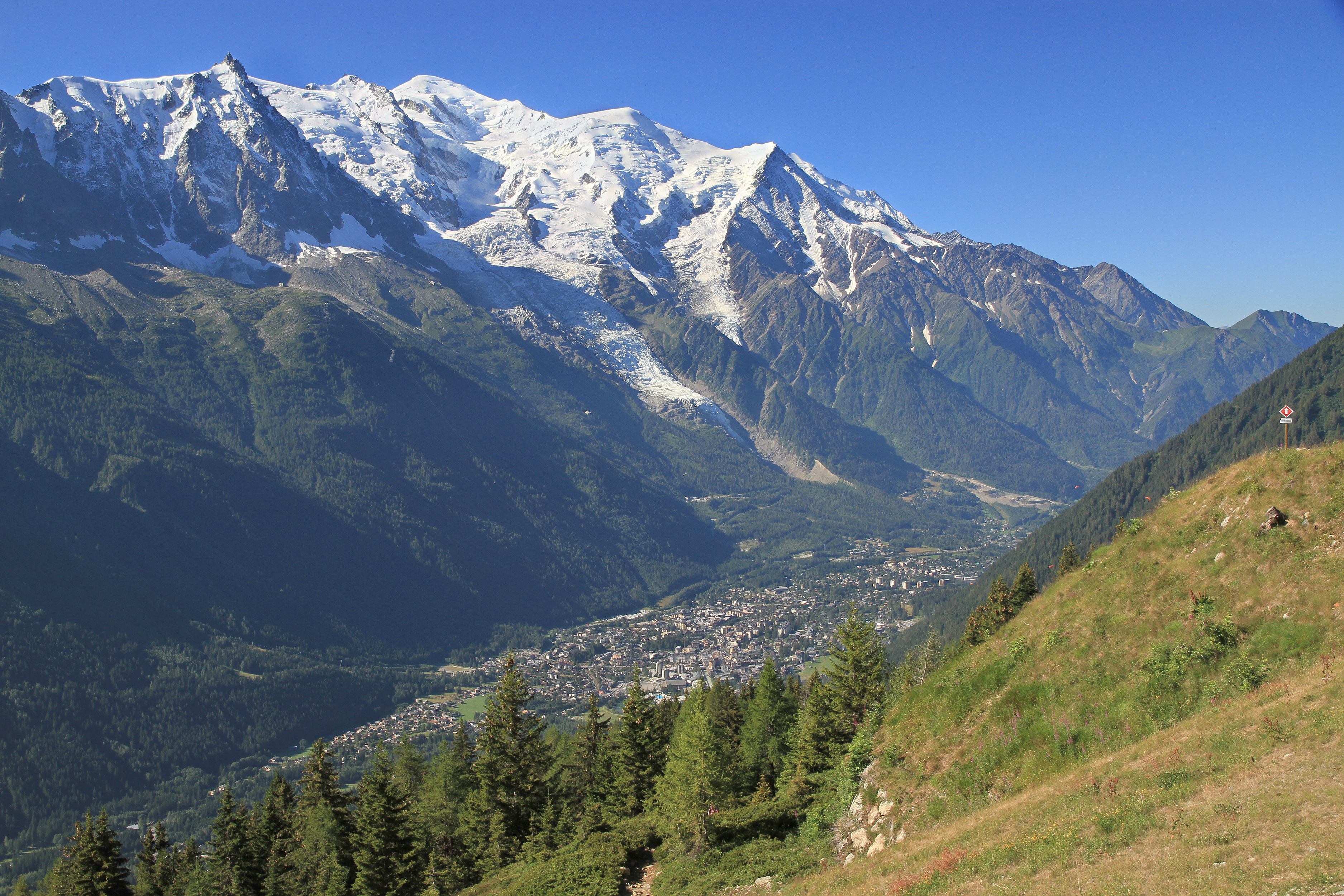 Chamonix valley and Mont Blanc as seen from la Flégère in the end of 2010 July.