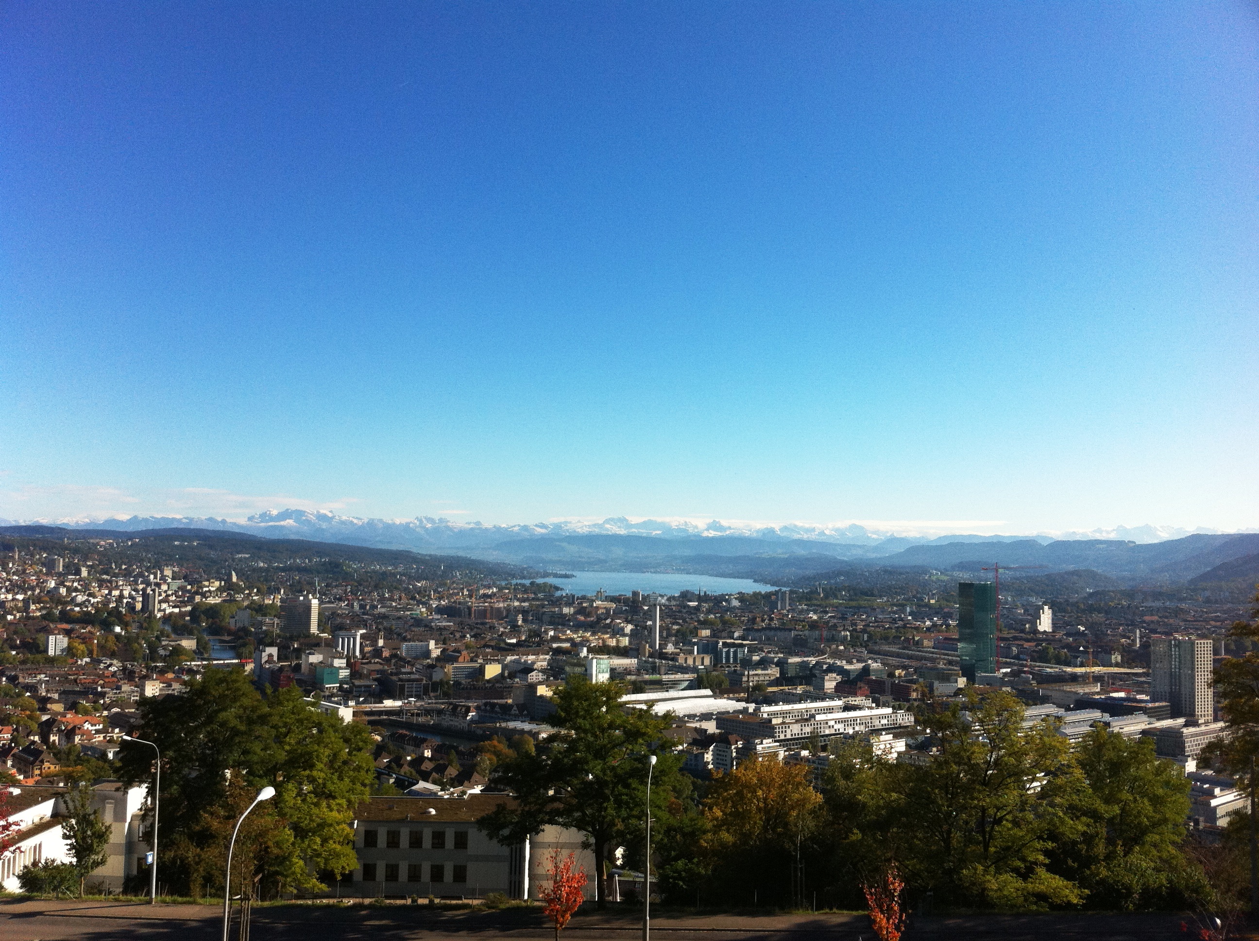 Zurich Panorama by a very good weather from Waidberg