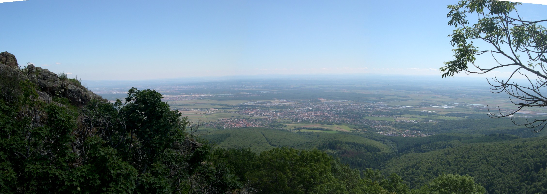 Vue panoramique de Cernay (Haut-Rhin) et une partie de la plaine d'Alsace depuis le massif des Vosges, Herrenfluf 857 m.