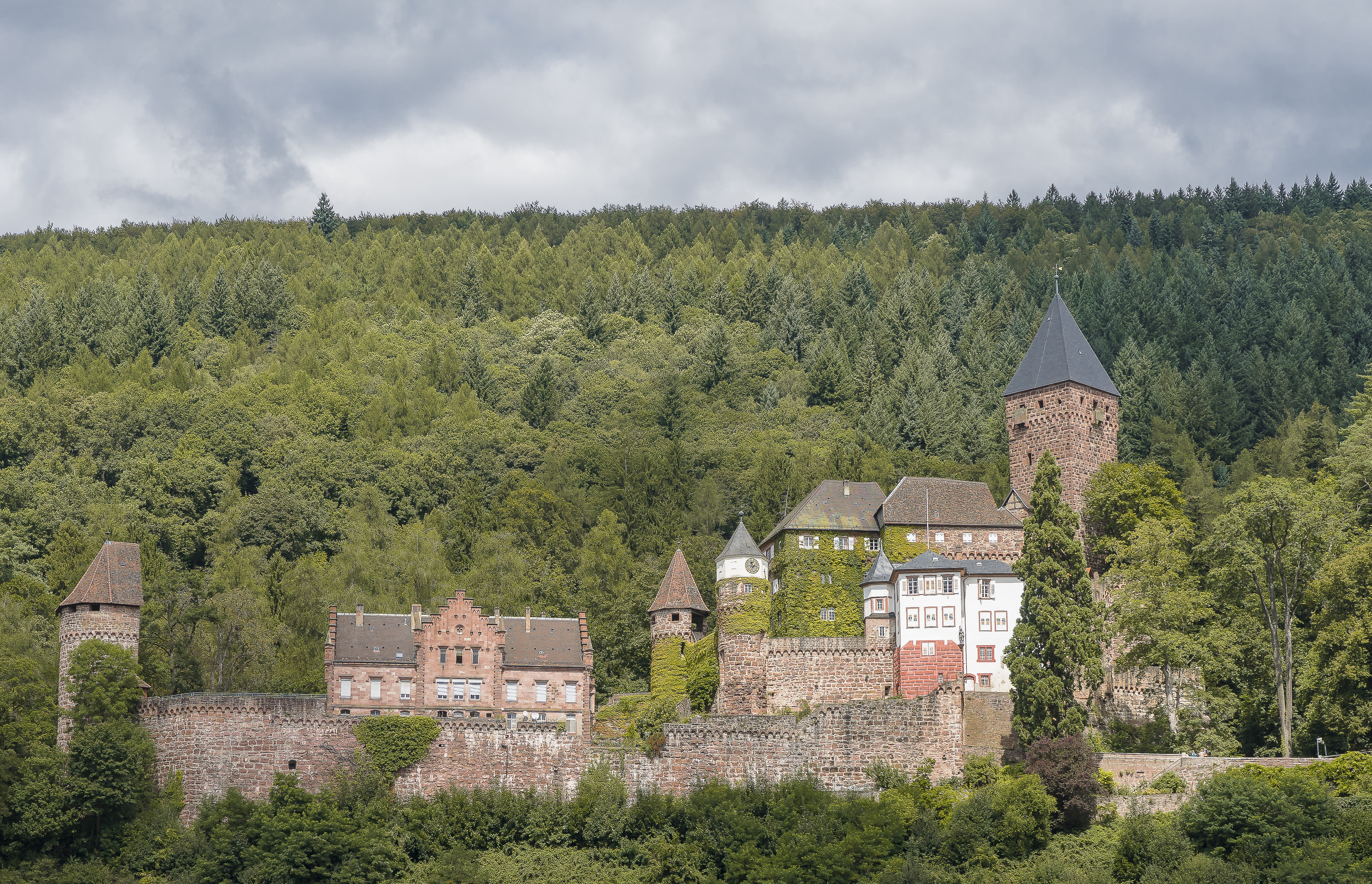 Castle Zwingenberg at river Neckar in the Neckar-Odenwald-Kreis/North Baden