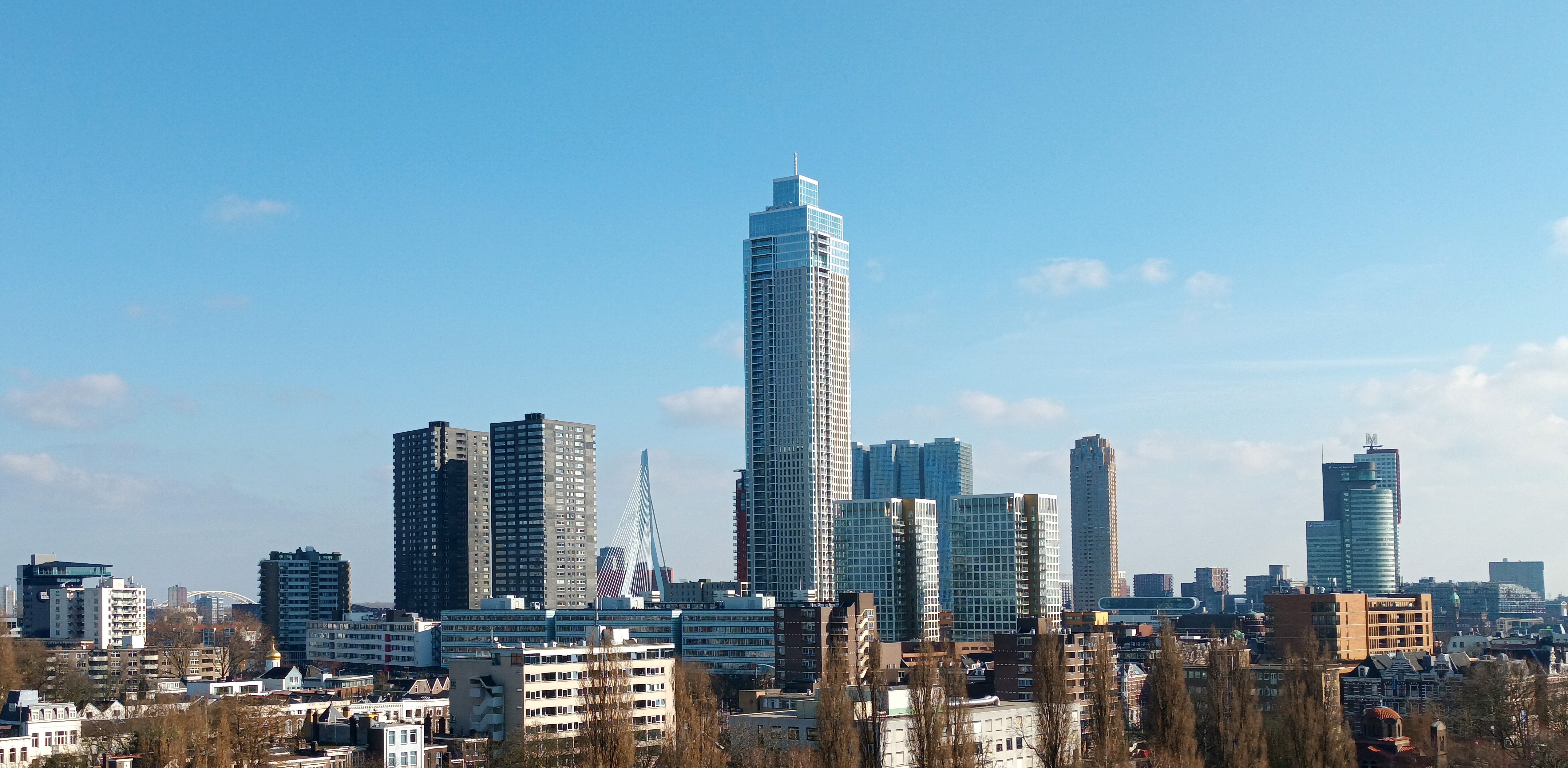 Skyline of Rotterdam with Erasmus Bridge between skyscrapers, March 2022