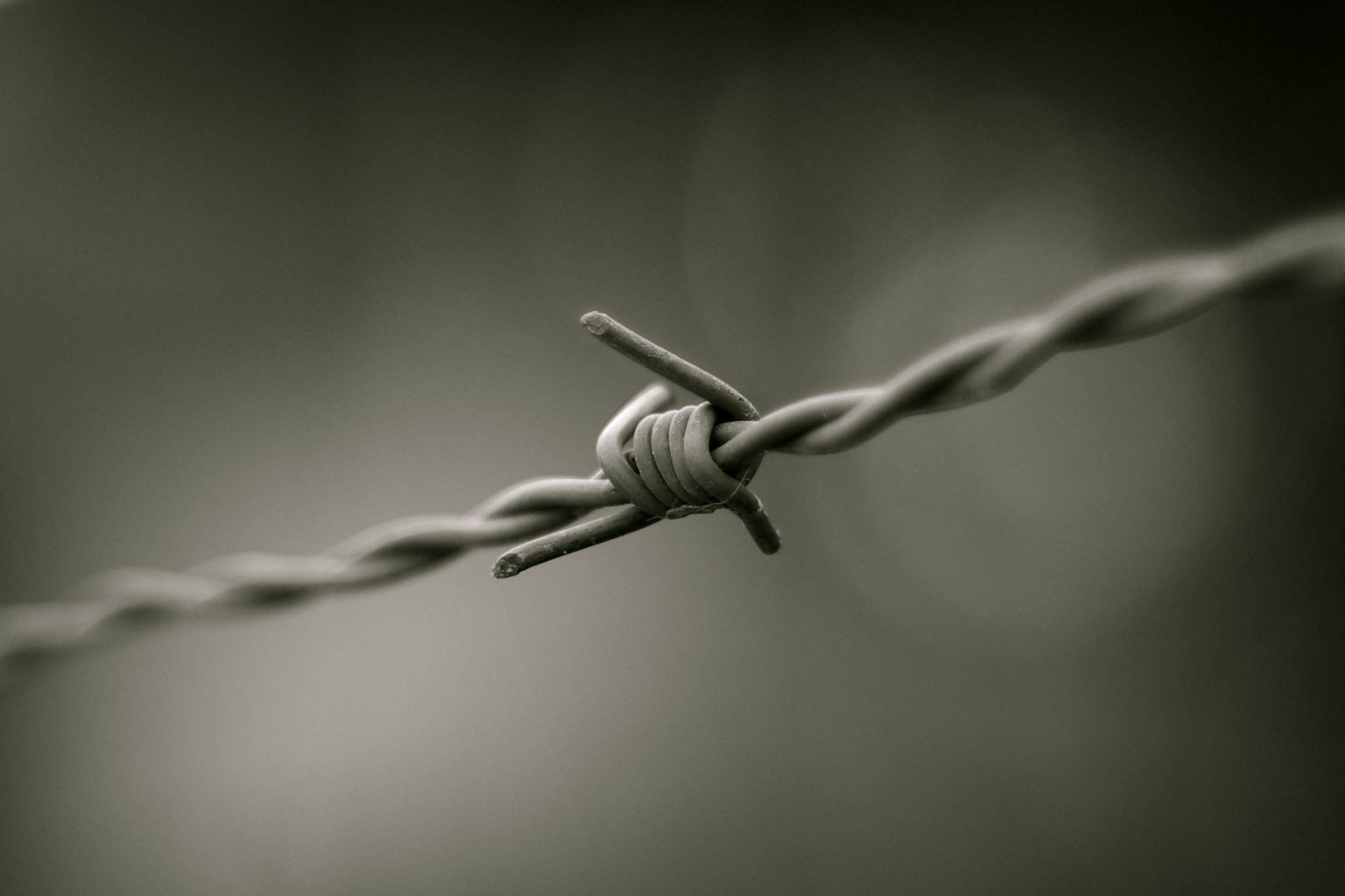 Barbed wire in black and white. This photo was taken during a visit at the KZ Herzogenbusch concentration camp, nearby Vught, the Netherlands.