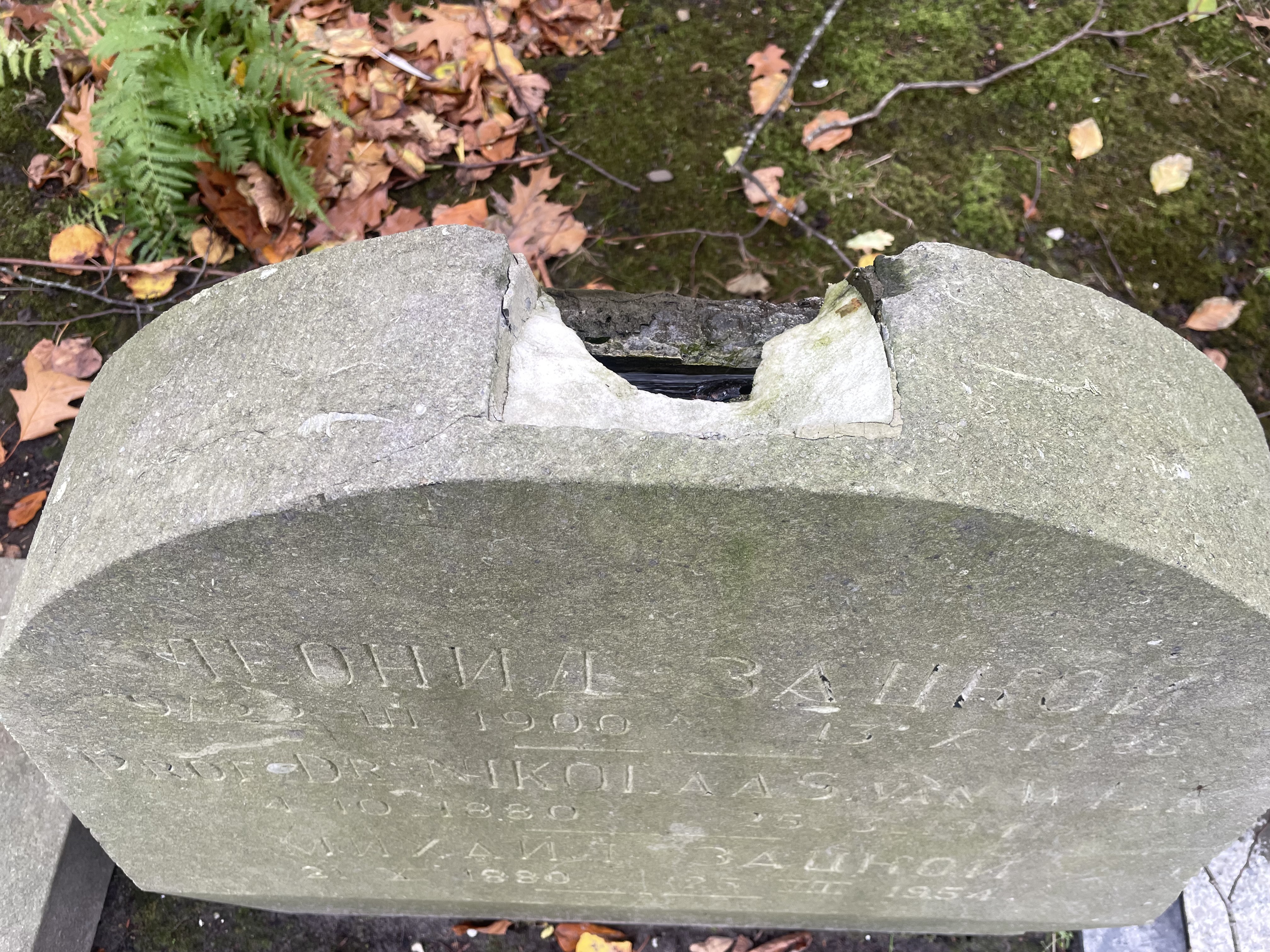 Grave of Leonid Zatskoi, Nicolaas van Wijk and Michail Zatskoi at Cemetery Rhijnhof, Leiden (2025). The Eastern Cross on top of the stone was removed somewhere at the end of the 20th century.