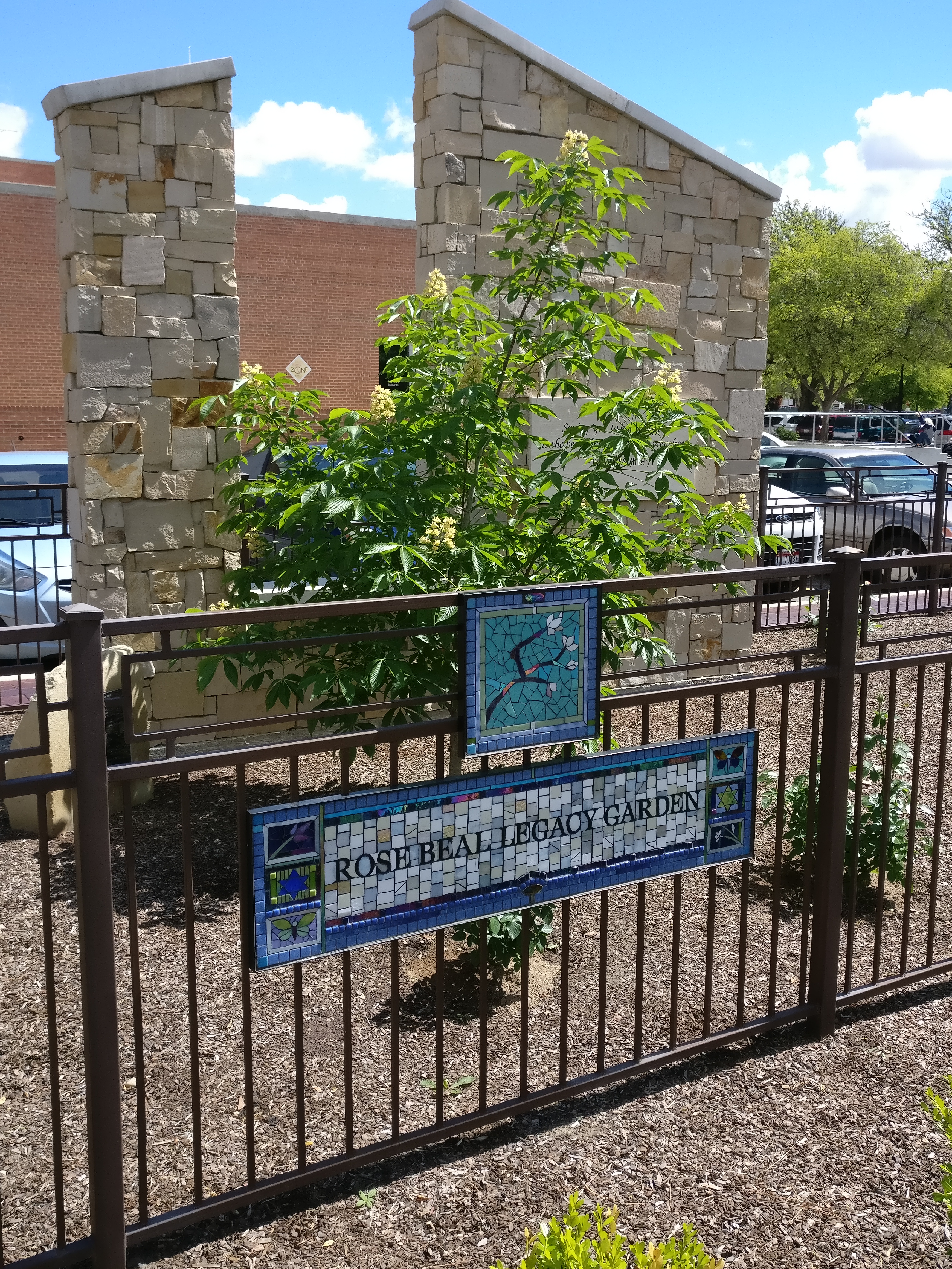 A sapling from the Anne Frank tree, one of only 11 in the U.S., at the Anne Frank Human Rights Memorial in Boise, Idaho.