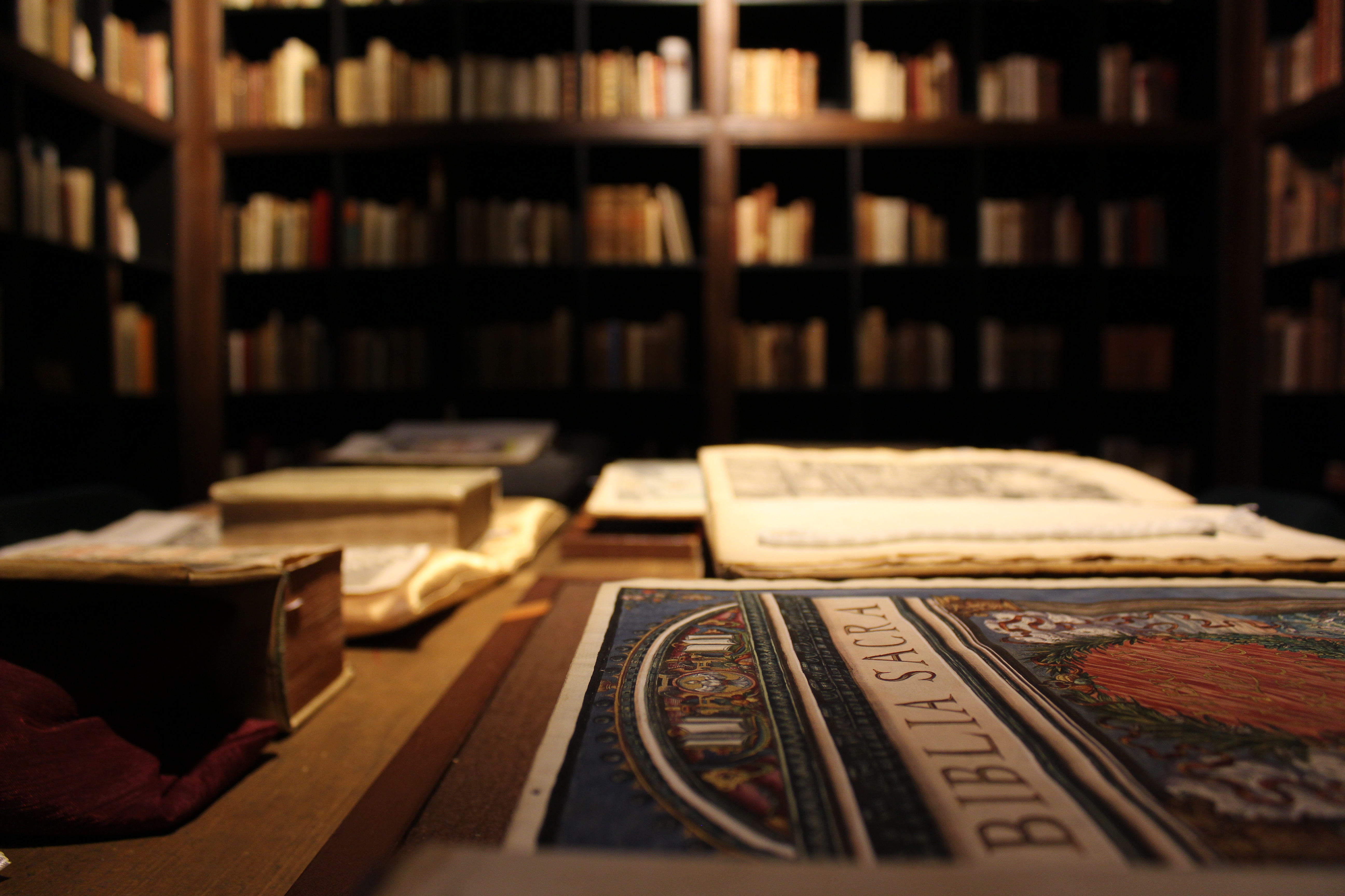 Rare books on display in the Ritman Research Institute rare book room