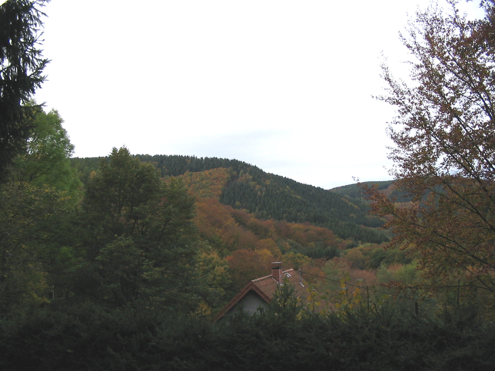 View looking west over the Kall Valley in the Huertgen Forest.