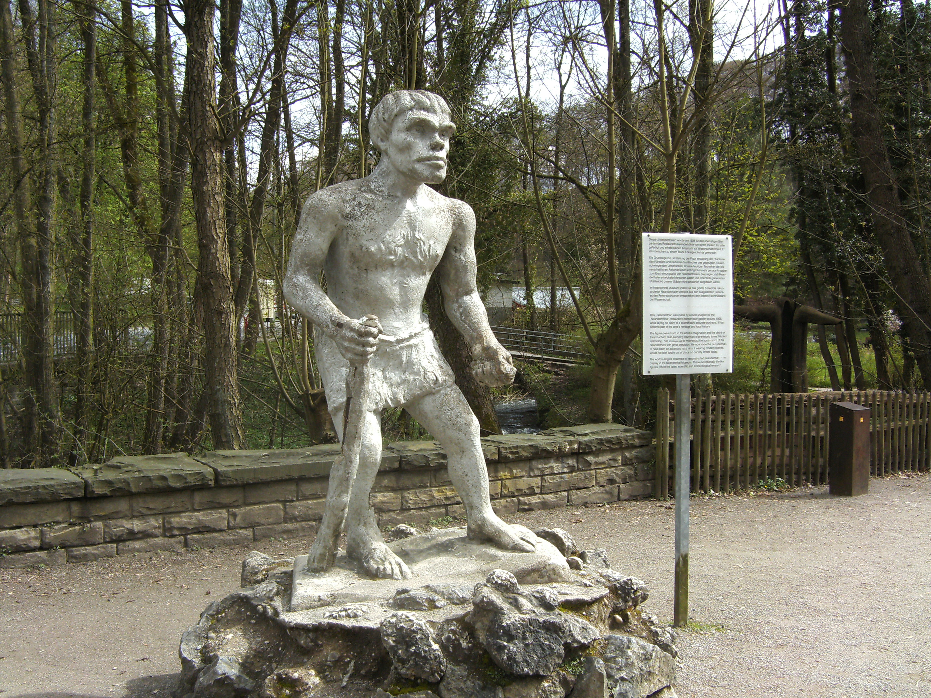 Sculpture (1928) facing the Neanderthal museum. The text says:
"This „Neanderthal“ was made by a local sculptor for the "Neanderhöhle" restaurant’s former beer garden around 1928. While laying no claim to a scientifically accurate portrayal, it has become part of the areas’s heritage and local history.
The figure owes much to the artist’s imagination and the cliché of the crouched, club-swinging caveman of prehistoric times. Modern technology has enabled us to reconstruct the apperarance of the Neanderthals with great precision. We now know the Neanderthal to have been an advanced race who, if wearing modern clothes, would not look totally out of place on our city streets today.
The world’s largest ensemble of reconstructed Neanderthals is on display in the Neanderthal Museum. These exceptionally life-like figures reflect the latest scientific and archaeological research."