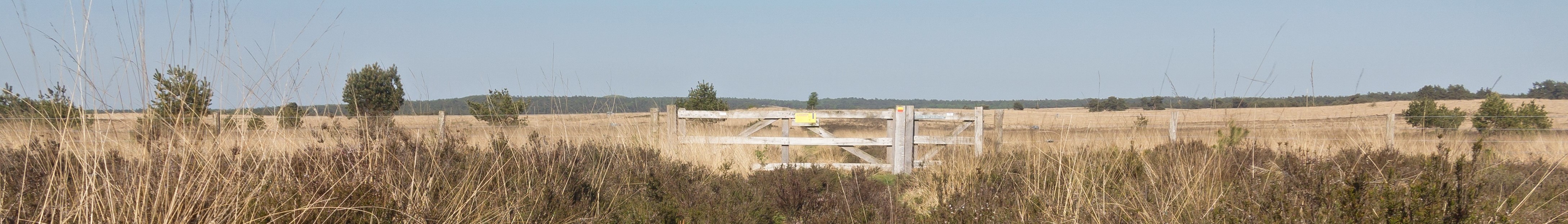 Nationaal Park Veluwezoom, panorama withy fence. Original image by User:Michielverbeek, edited for use as banner on Wikivoyage.