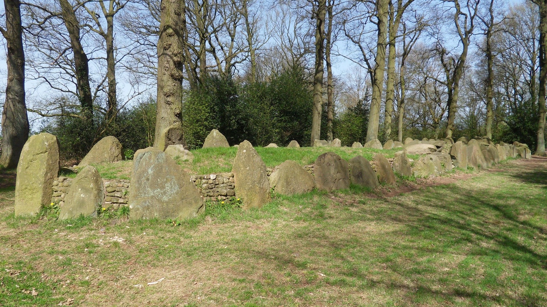 Dolmen d43 in Emmen