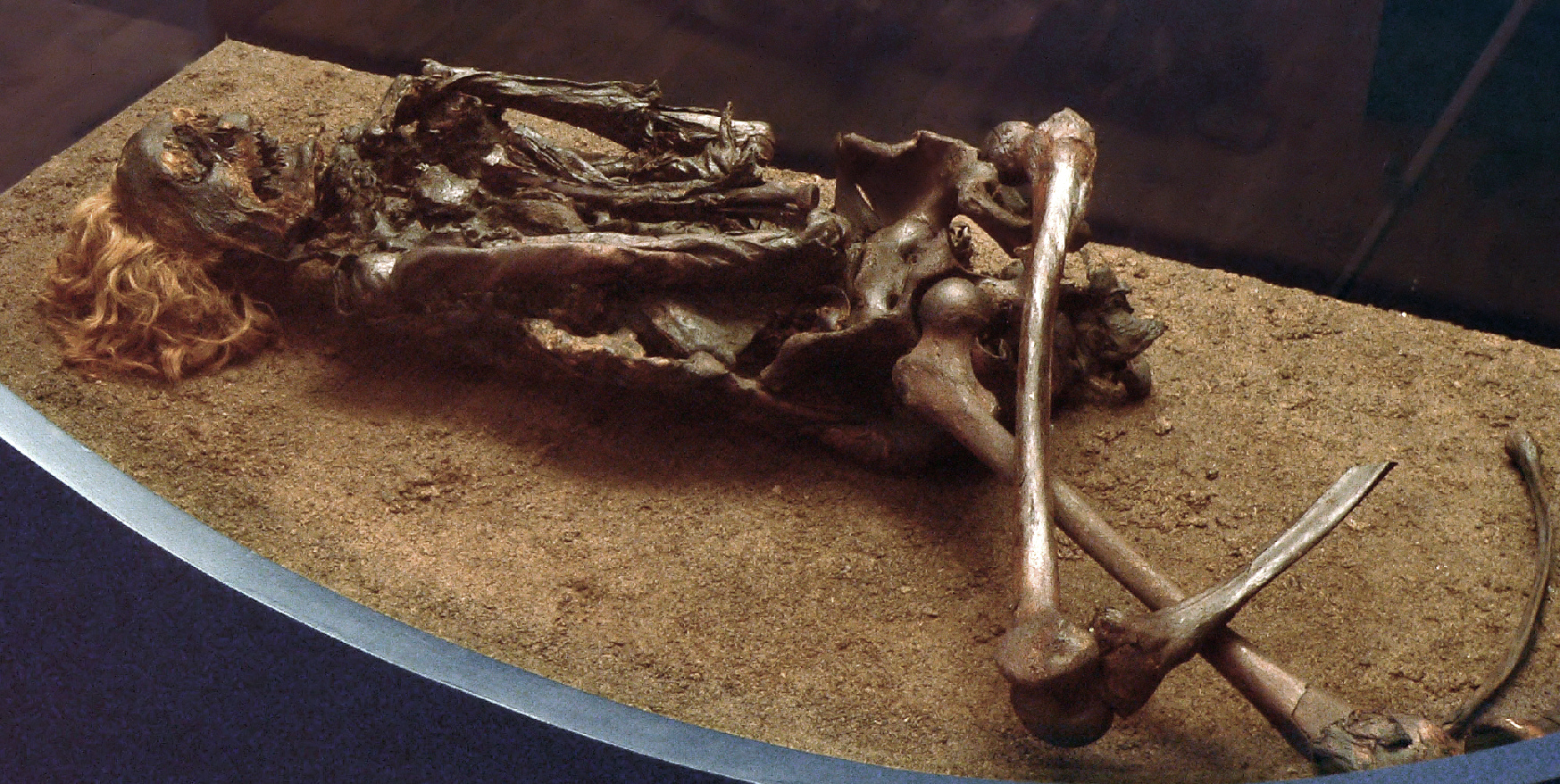 Bog body Neu Versen Man, also known as Red Franz at Niedersächsisches Landesmuseum Hannover, Germany