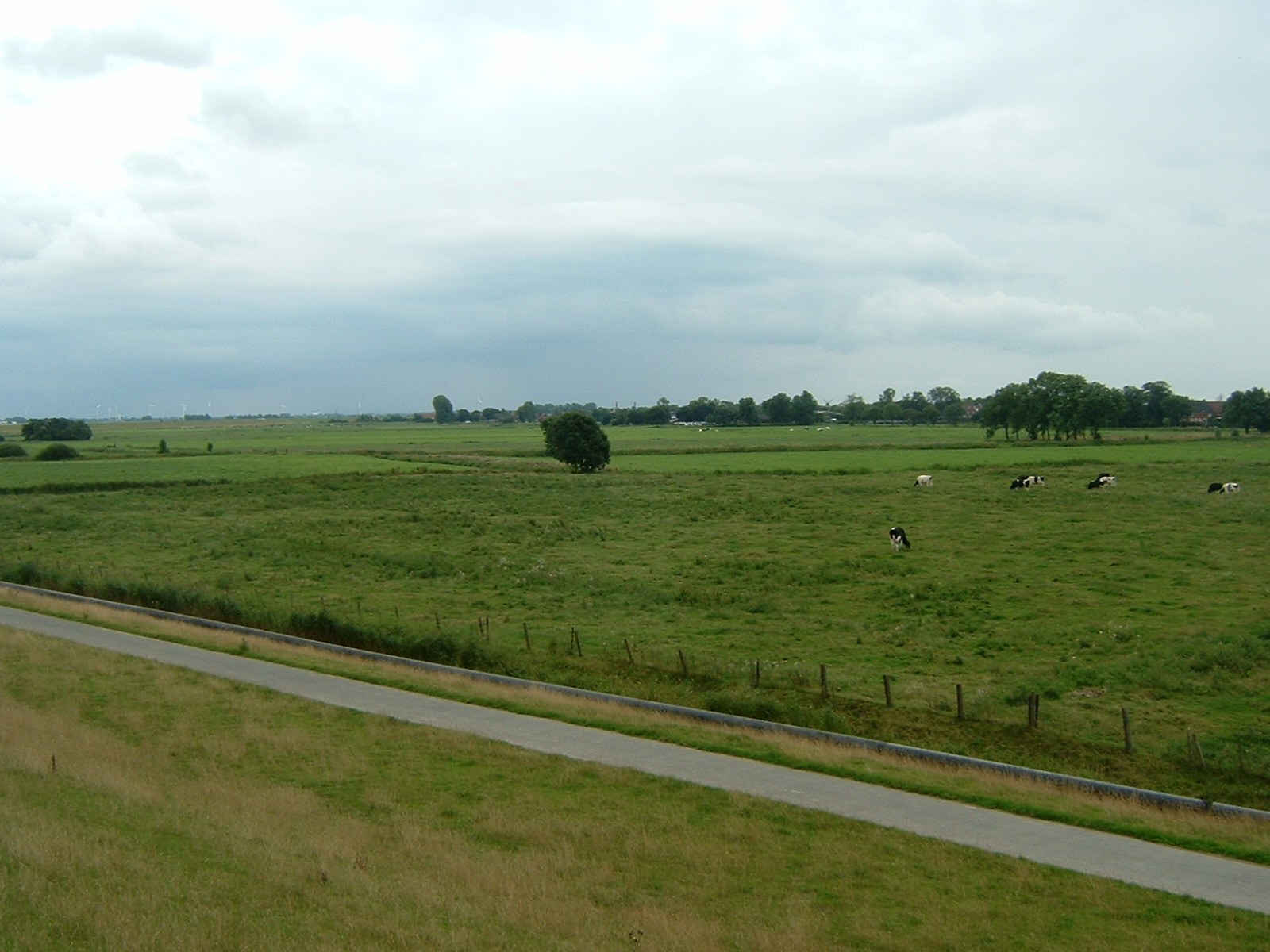 Rheiderland.jpg