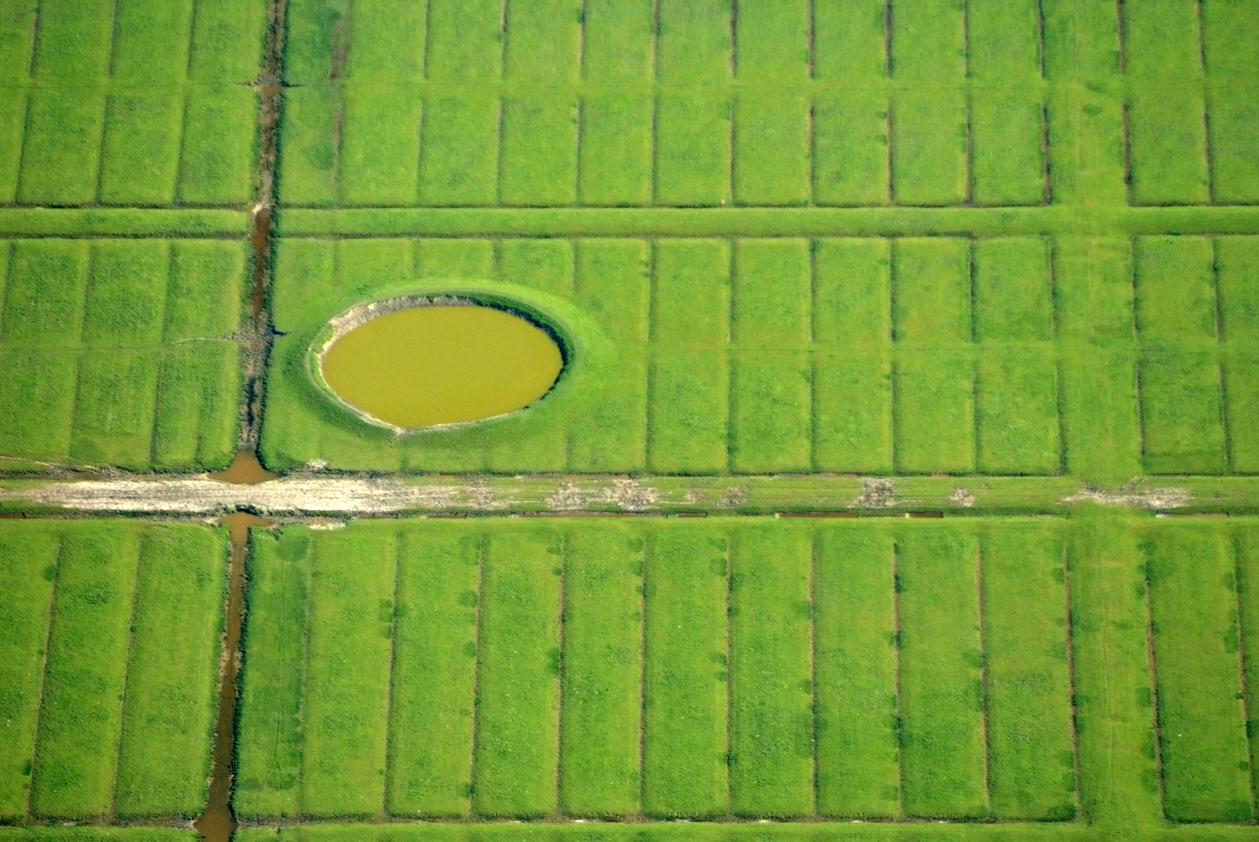 Aerial view of a Second World War bomb crater in a polder near Neßmersiel, North Sea coast