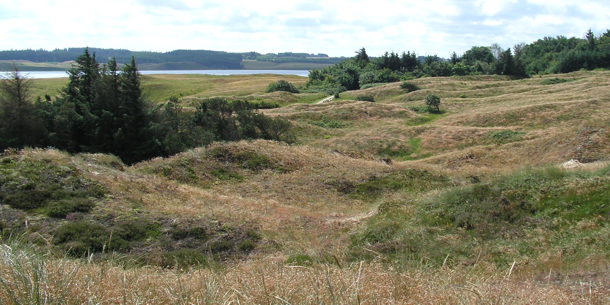 From Thy Nationalpark (Denmark). View cross the dune heaths at Hanstholm vildtreservat and Tved klitplantage.