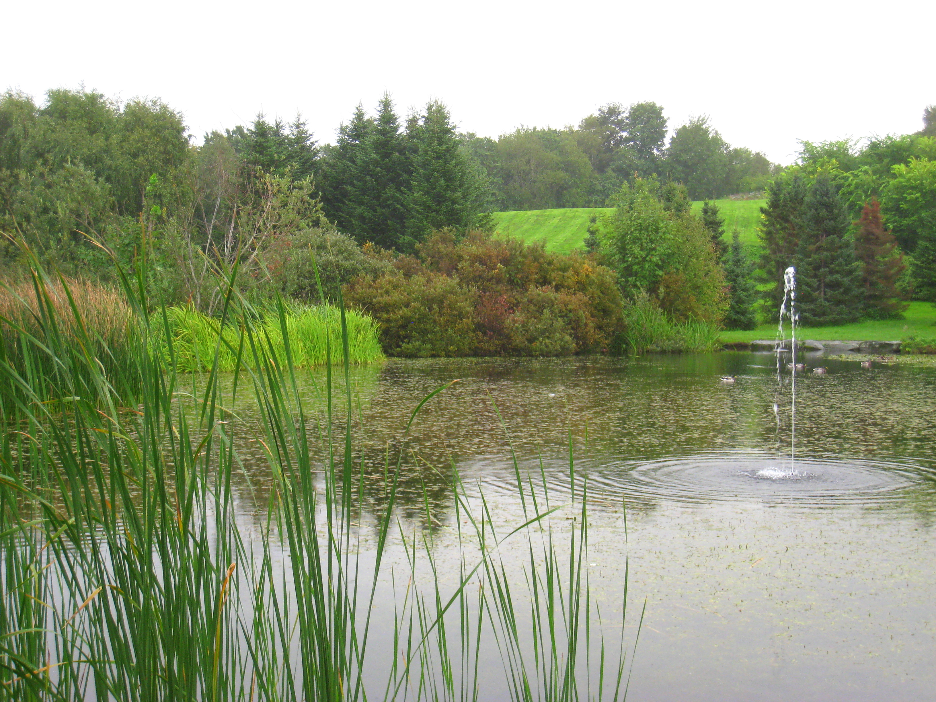 Arboretum at the Ringve Museum, Trondheim, Norway.