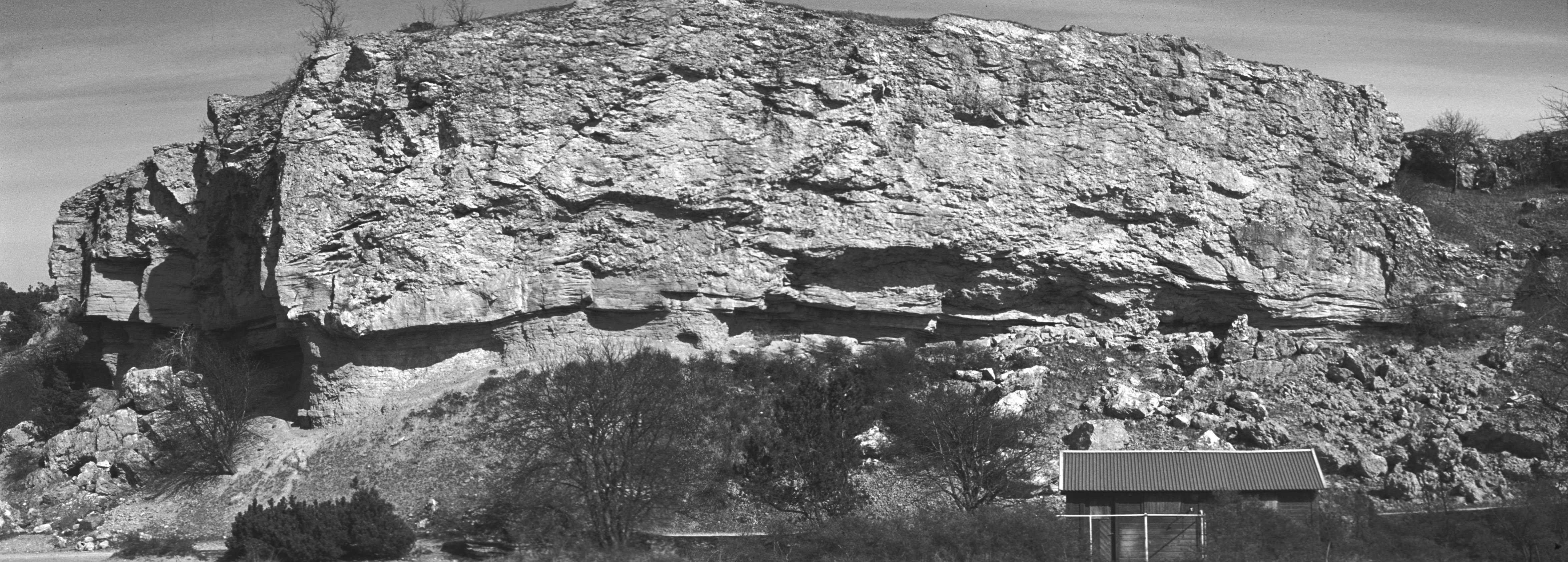 Silurian reef complex on Gotland, Sweden.

If I recognise this correctly, the reef is part of the Sundre formation, and overlies the beds of the Hamra formation. (Smith609 (talk))