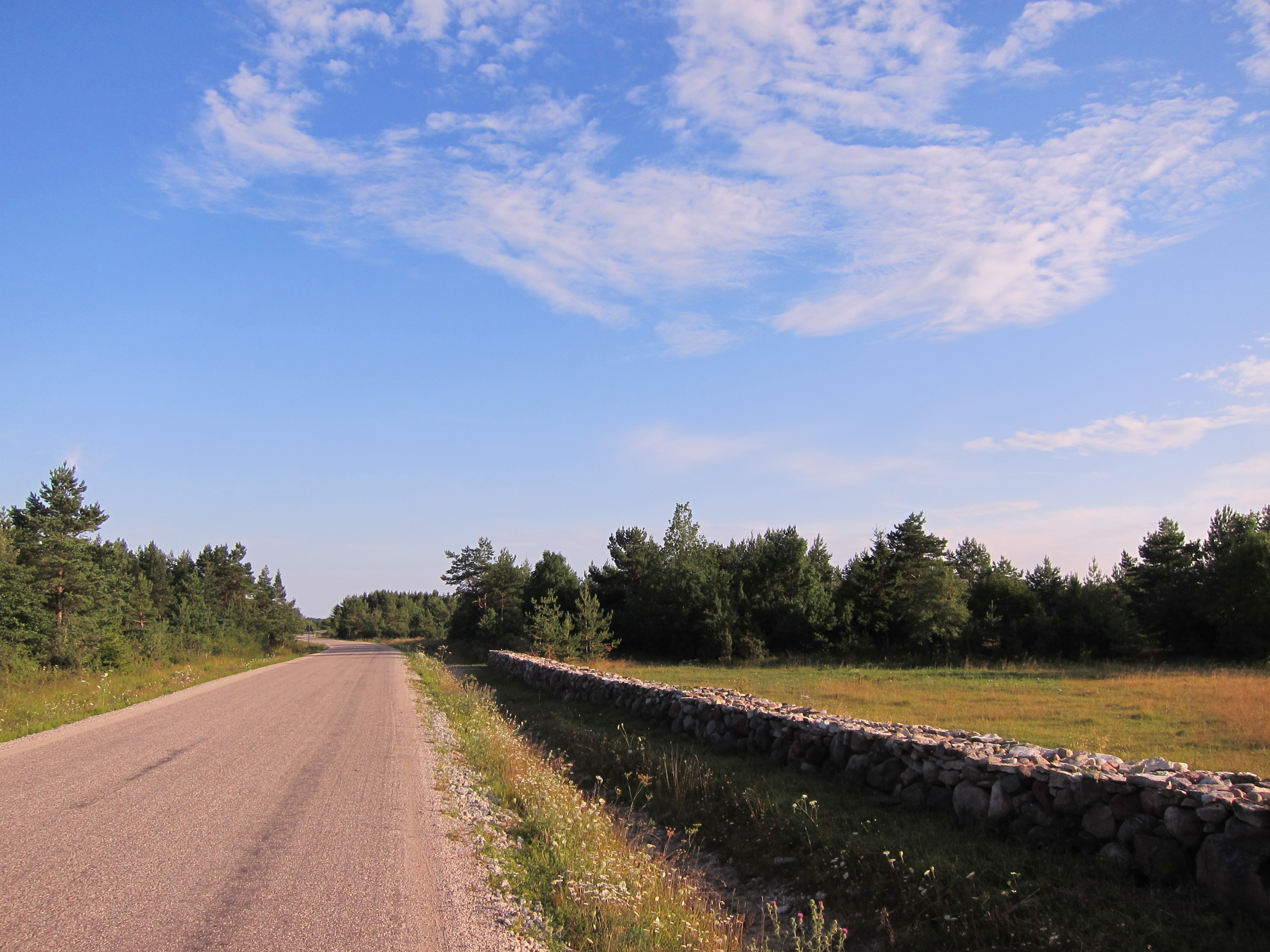Section of the road on Western Saaremaa between the villages of Lümanda and Kotlandi.