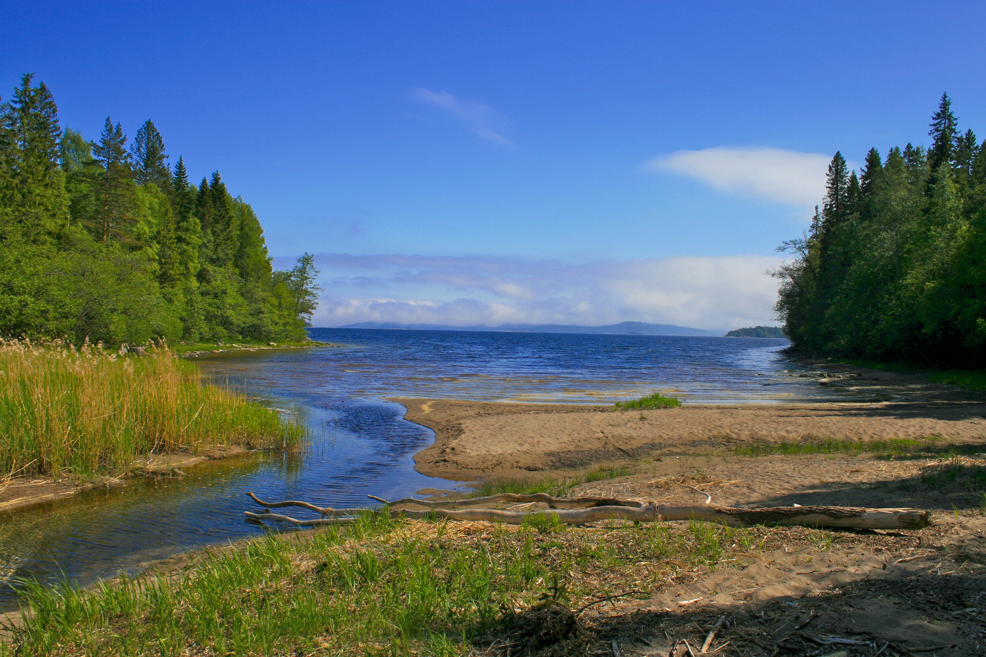 Salsviken bay, in Skuleskogen national park. It used to be a canal but because of post-glacial rebound, the lake is now closed from the sea.