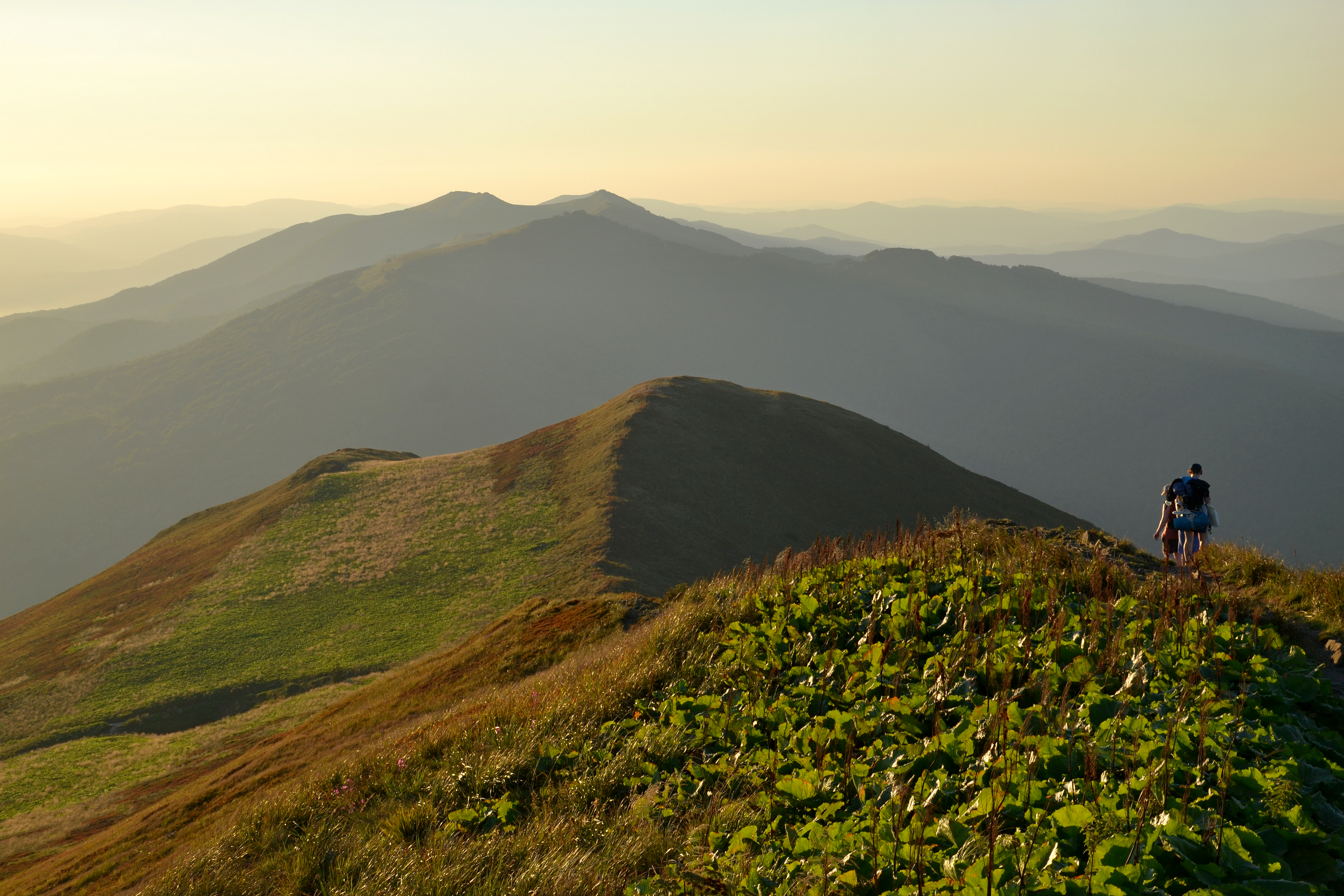 Bieszczady mountains, Poland. Połonica Caryńska in the evening