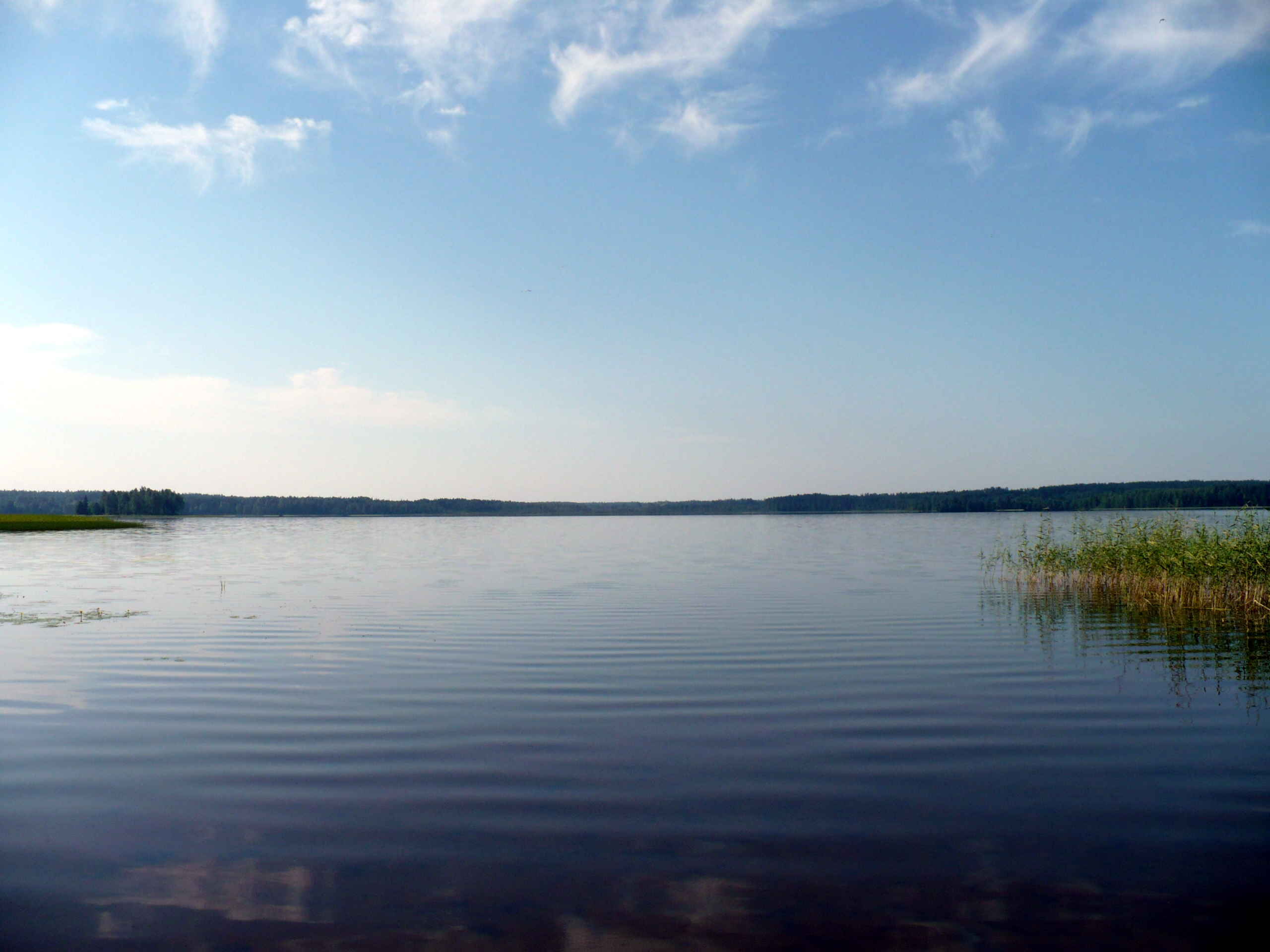Lake Peretno (Okulovskiy Raion, Novgorodskaya Oblast, Russia)