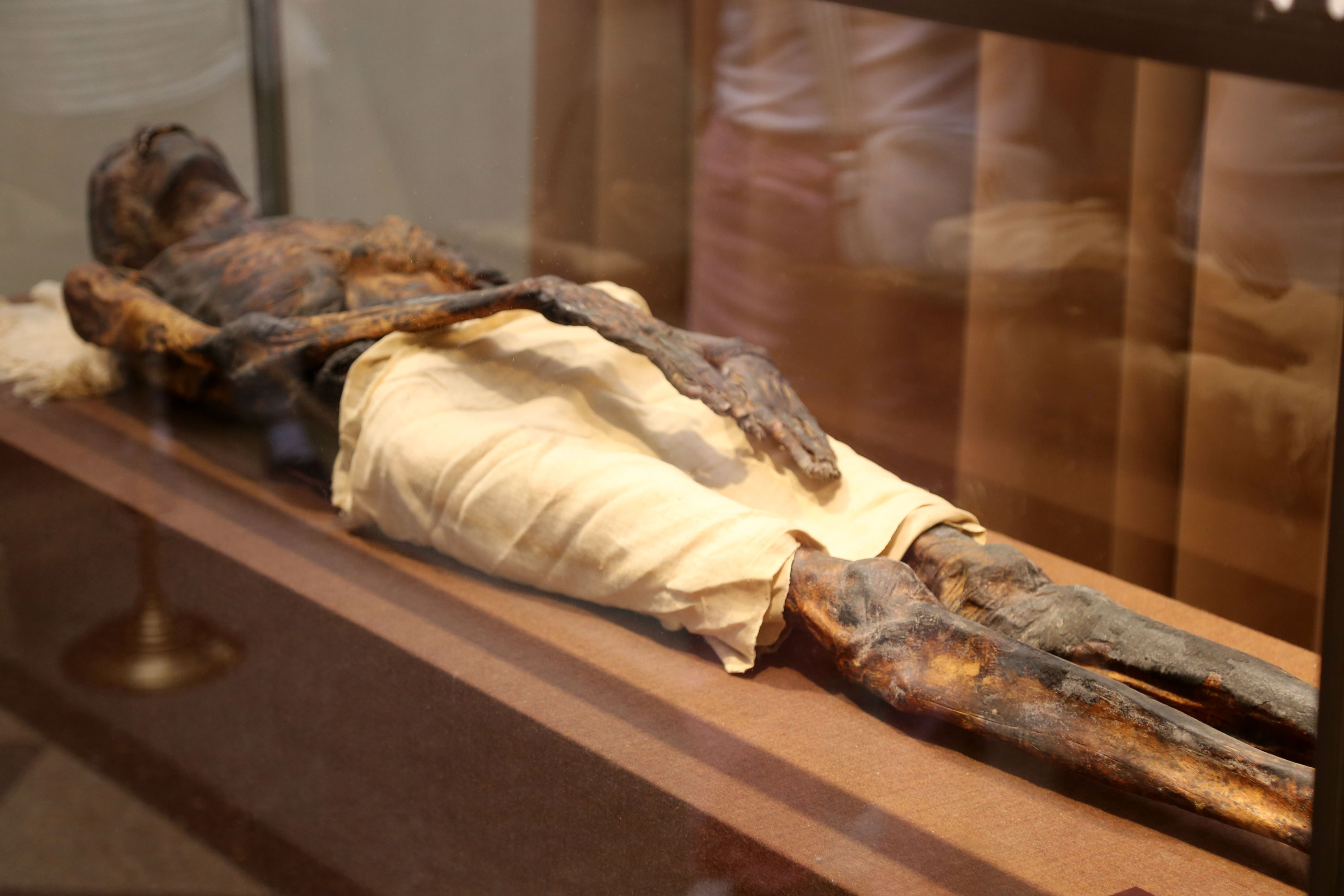 Mummy of a priest Pa-di-ist
State Hermitage Museum
Государственный Эрмитаж
Saint Petersburg, Russia
030526 (August 16, 2024)
Photo by: Safa
............................................
Mummy of the priest Pa-di-ist, 10th century BC
Many visitors come to the Hermitage to see one of its, perhaps, most eerie artifacts – a 3,000-year-old mummy. The mummy, identified as Pa-di-ist, a male priest, is exhibited lying down in a carefully secured bulletproof glass casket in the museum's Hall of Ancient Egypt.

............................................