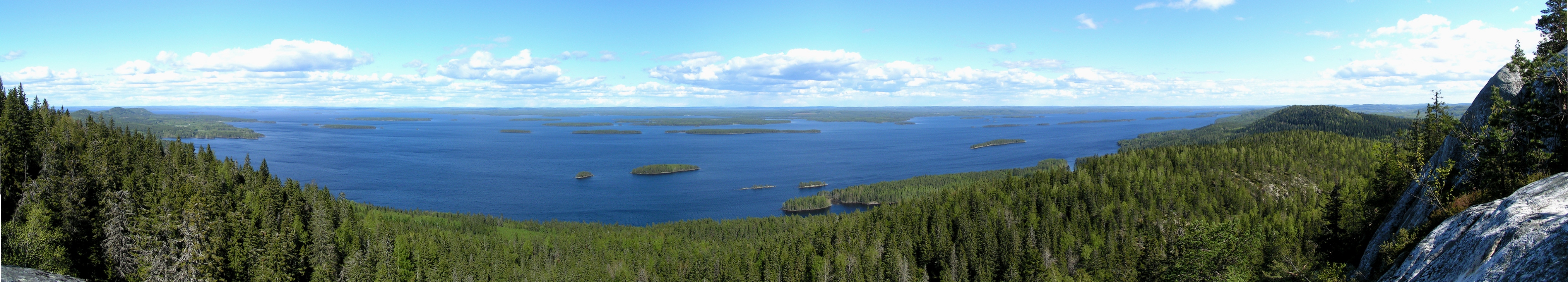 Panorama of Lake Pielinen from a hill in Koli National Park, Finland.