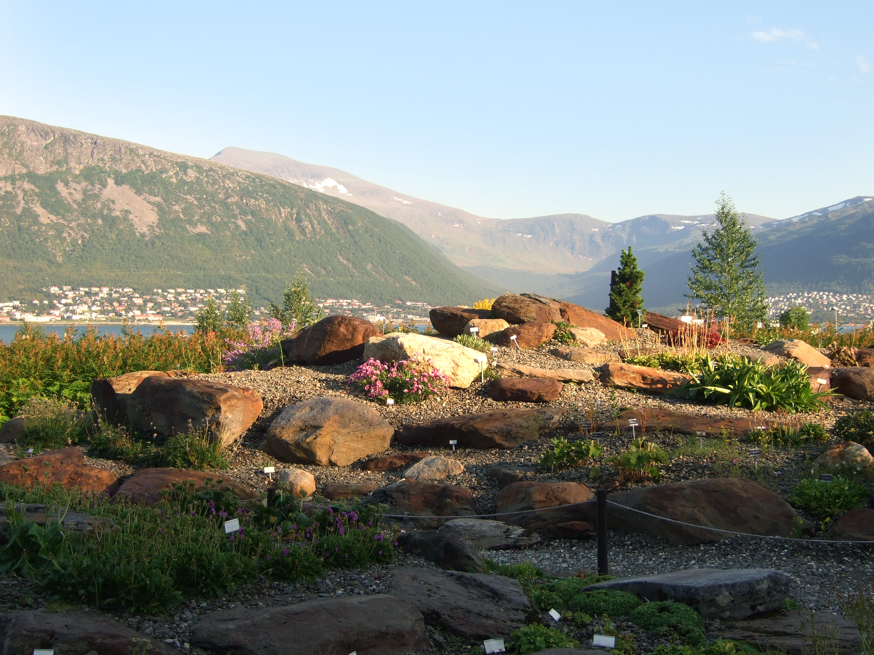 Arctic-alpine botanic garden in Tromsø Norway