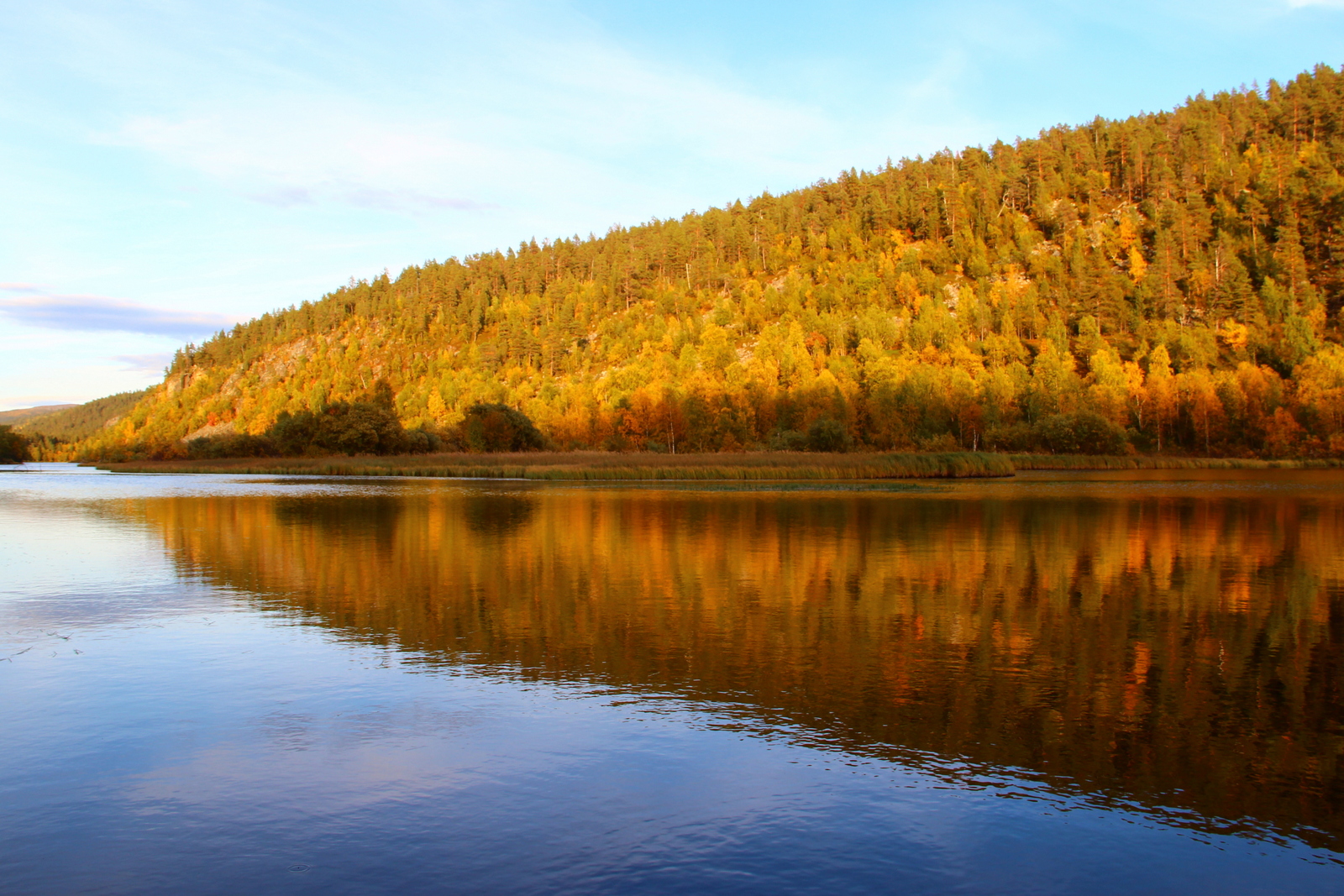 Autumn colours at River Lemmenjoki at Lemmenjoki National Park in Finland