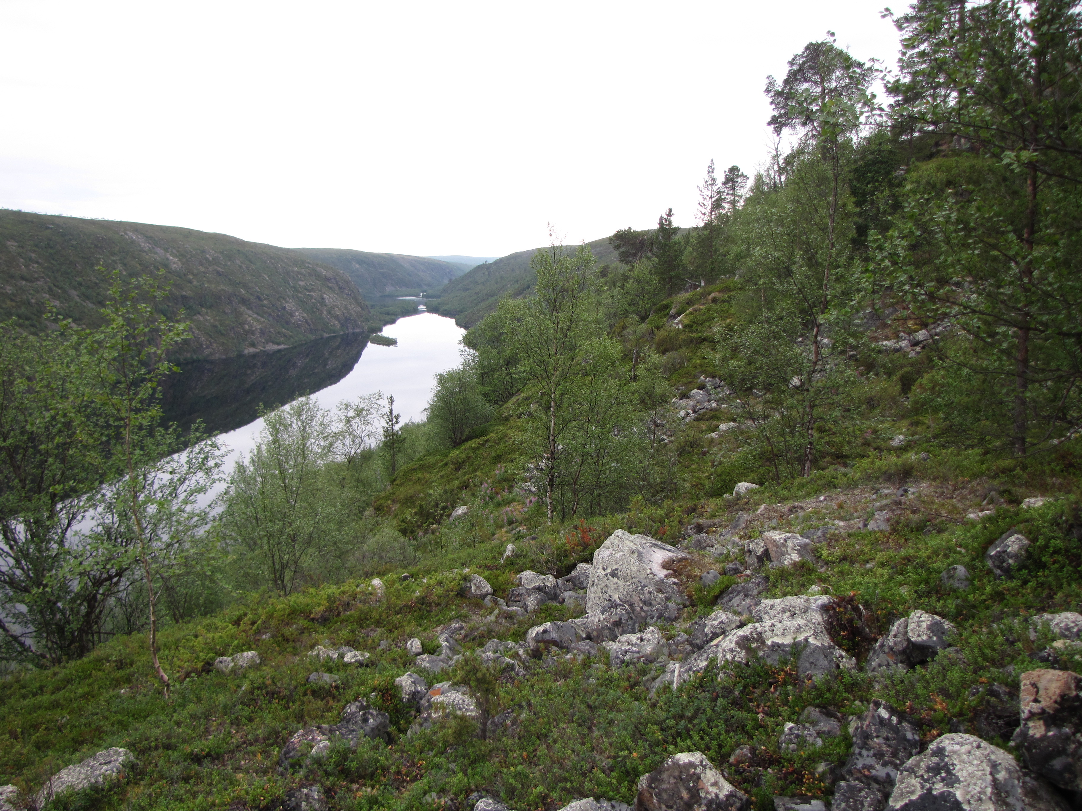 Kevo canyon, Kevo Strict Nature Reserve, Finland