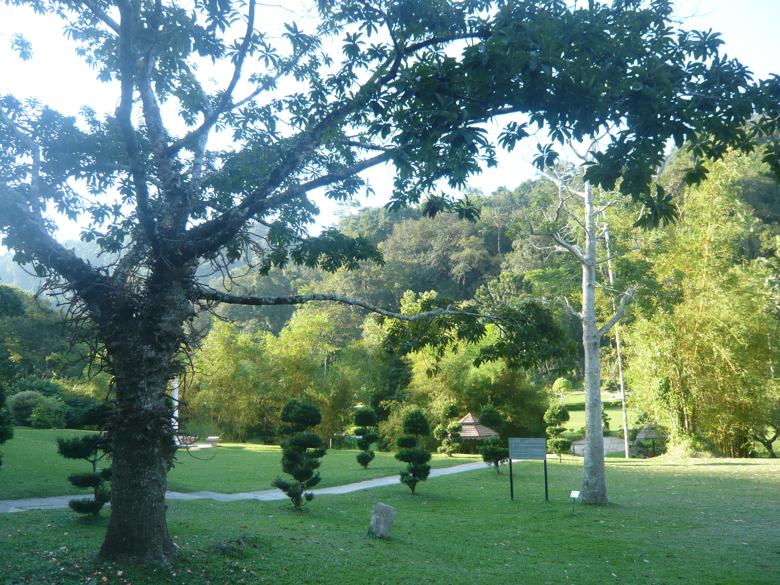 View of the Penang Botanic Gardens