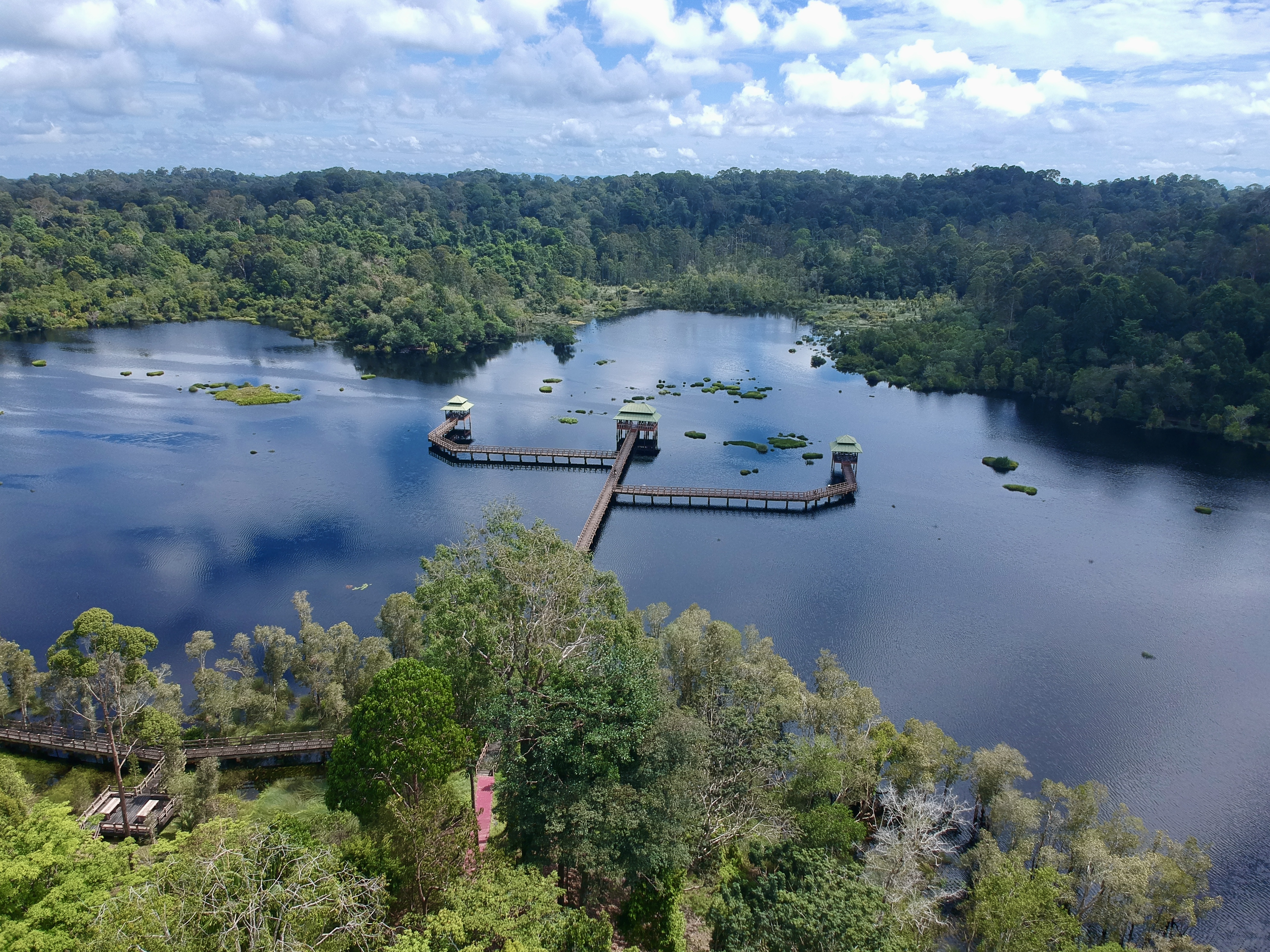 Aerial photograph of Luagan Lalak Forest Recreation Park on 25 December 2024.