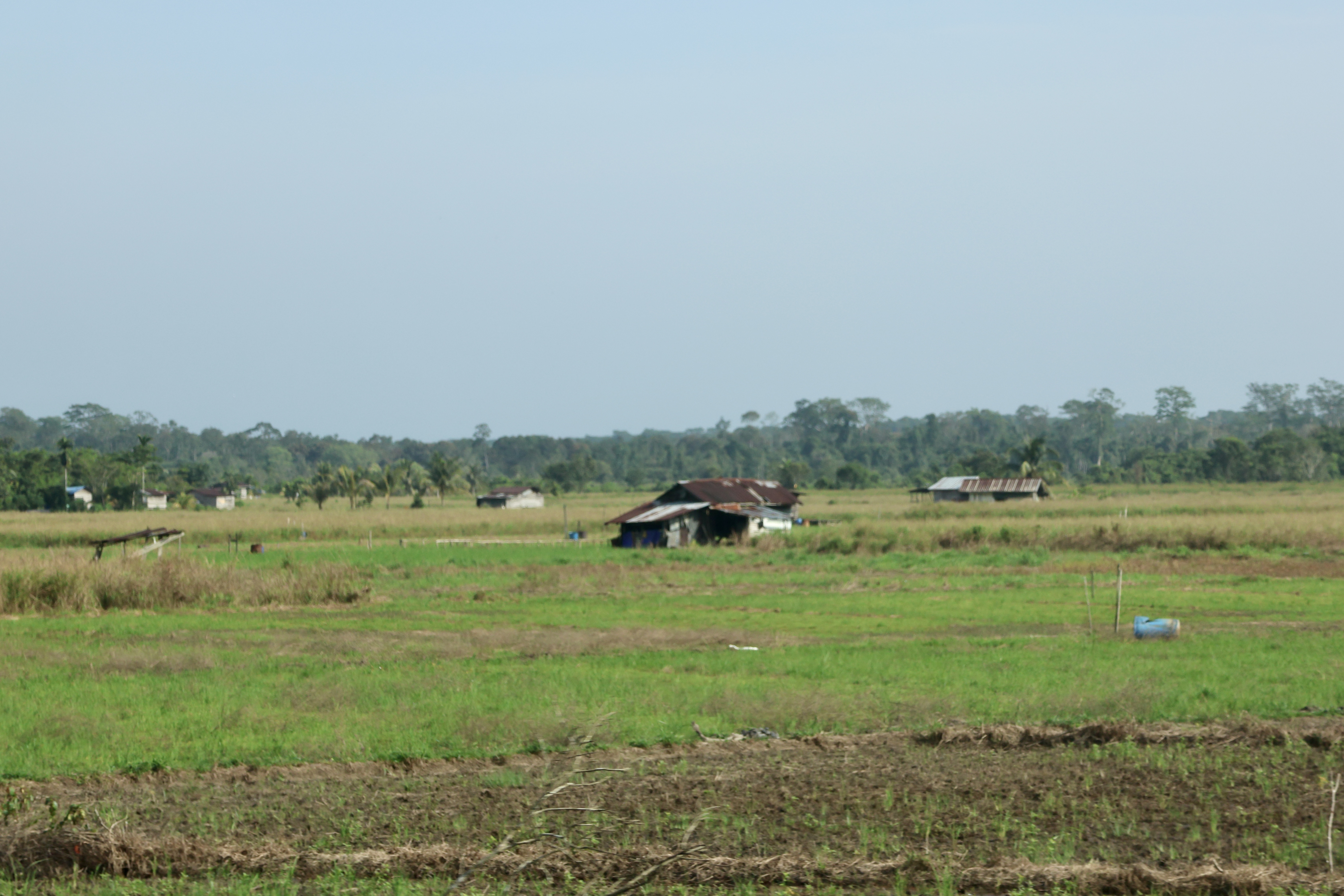 Temburong on 27 July 2023.