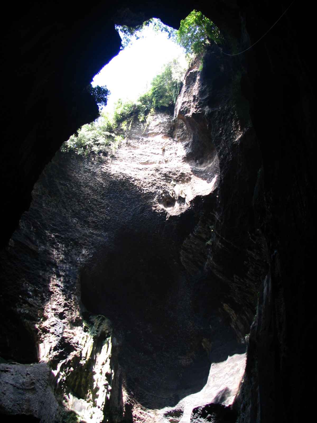 Gomantong cave, walls are covered with swallow nests, some black and some white.